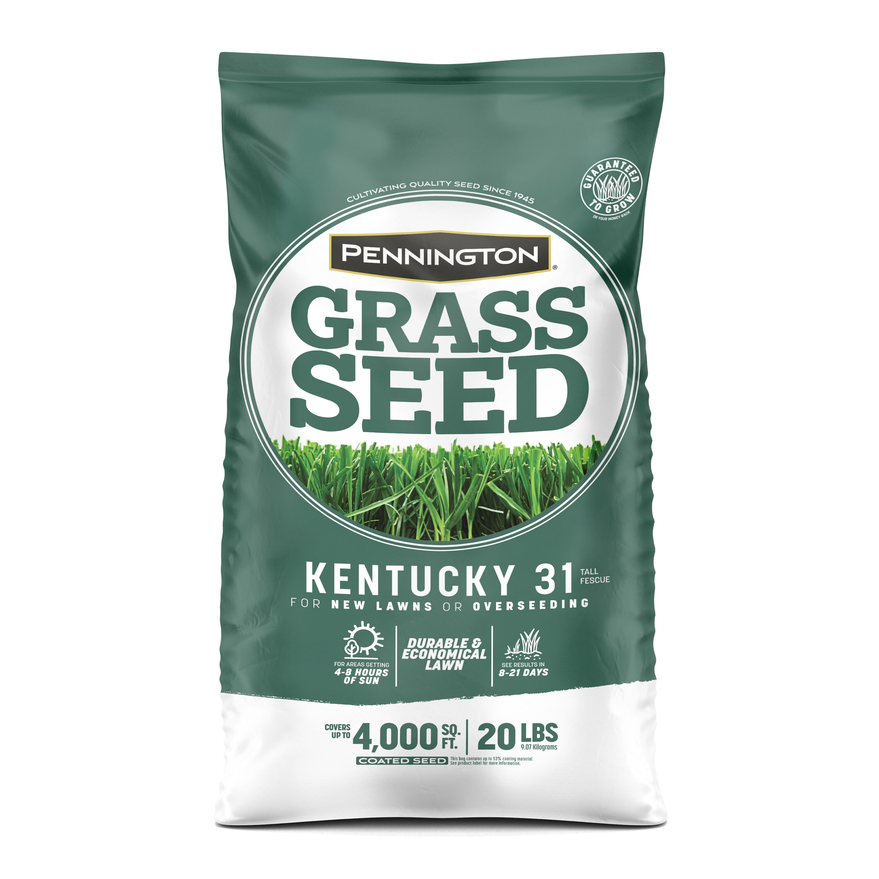Pennington 2149602260 Kentucky 31 20-lb Tall fescue Grass Seed
