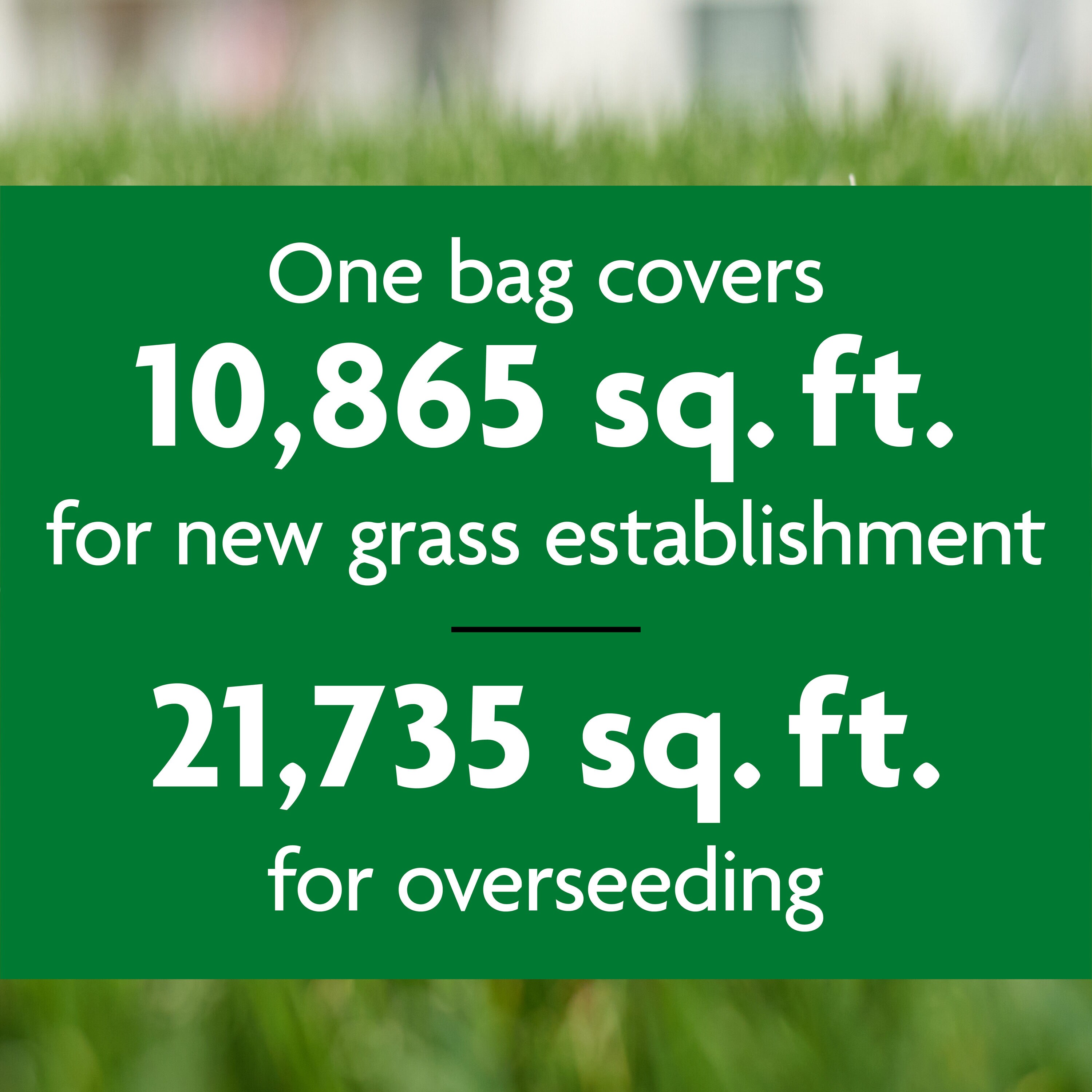 Scotts 18428A Grass-Seed - View #5