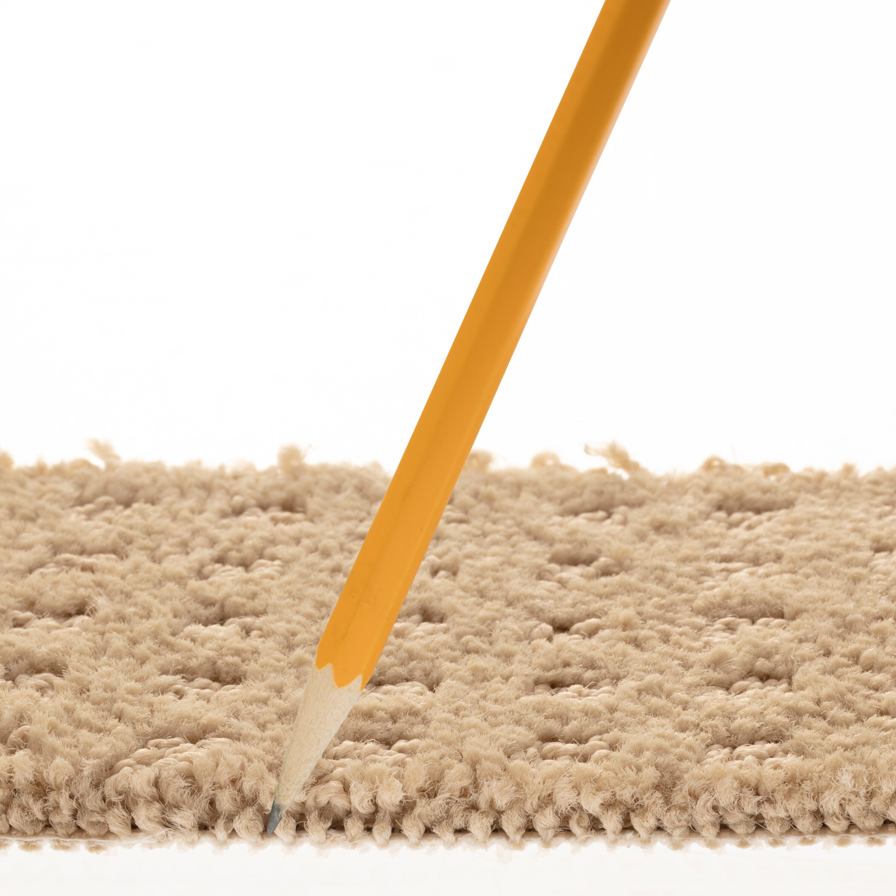 STAINMASTER PetProtect 7L898 - 114 - SAMP Carpet-Samples - View #7