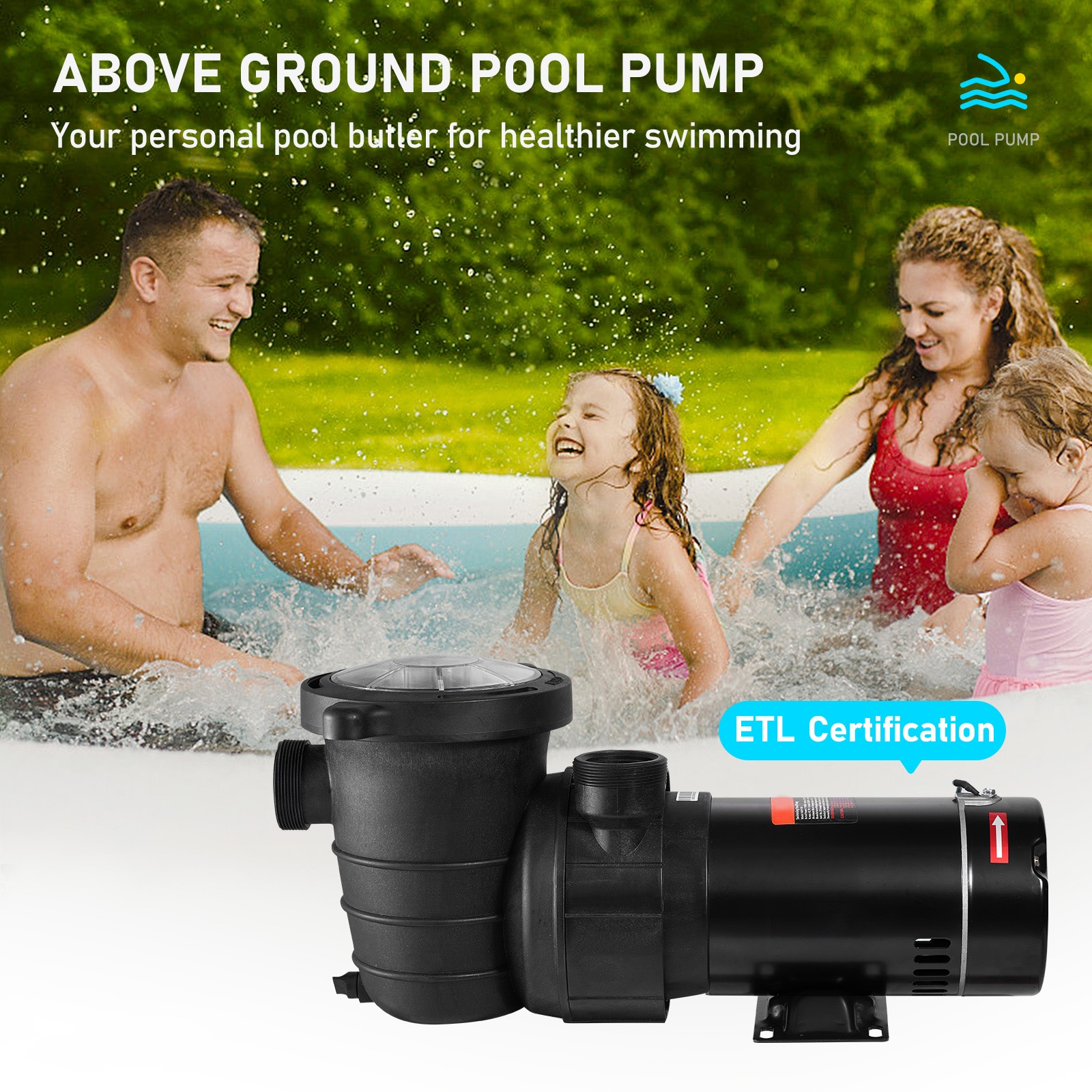 SVOPES DSYCBMC112HP8LFRCV1 Pool-Pumps - View #3
