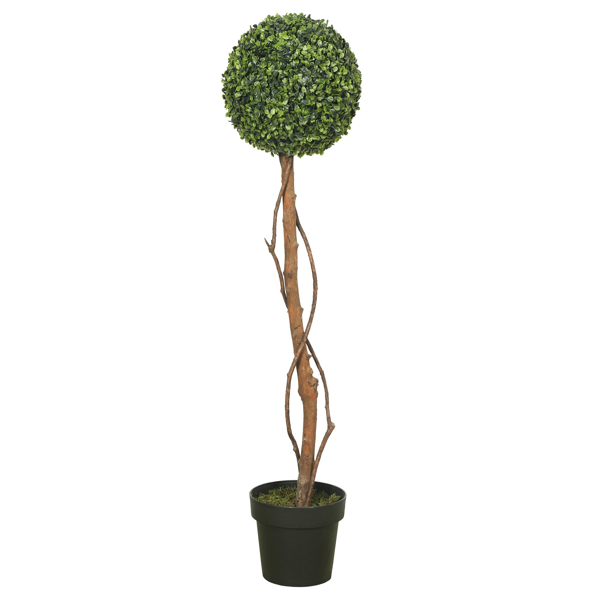 Vickerman TA170901 39-Inches Green Indoor Desktop Boxwood Artificial plant