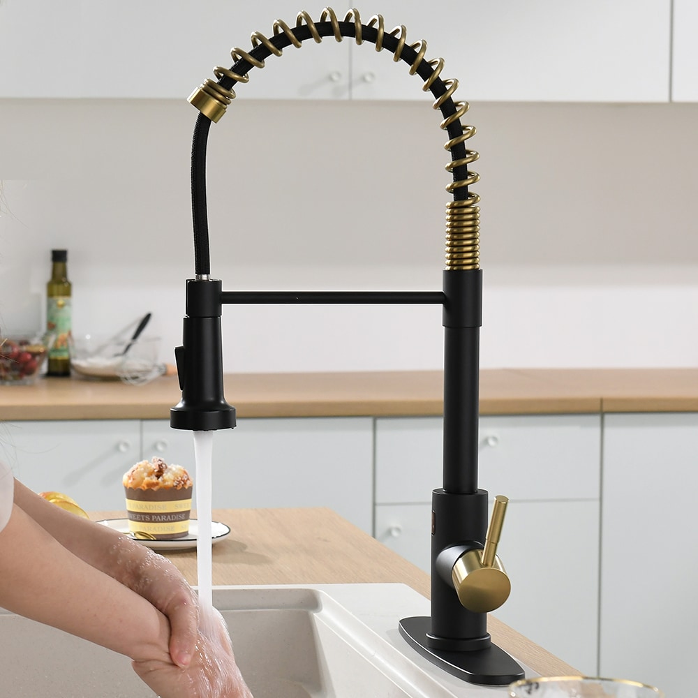 Fapully FA-B-1008BG-IS Kitchen-Faucets - View #5