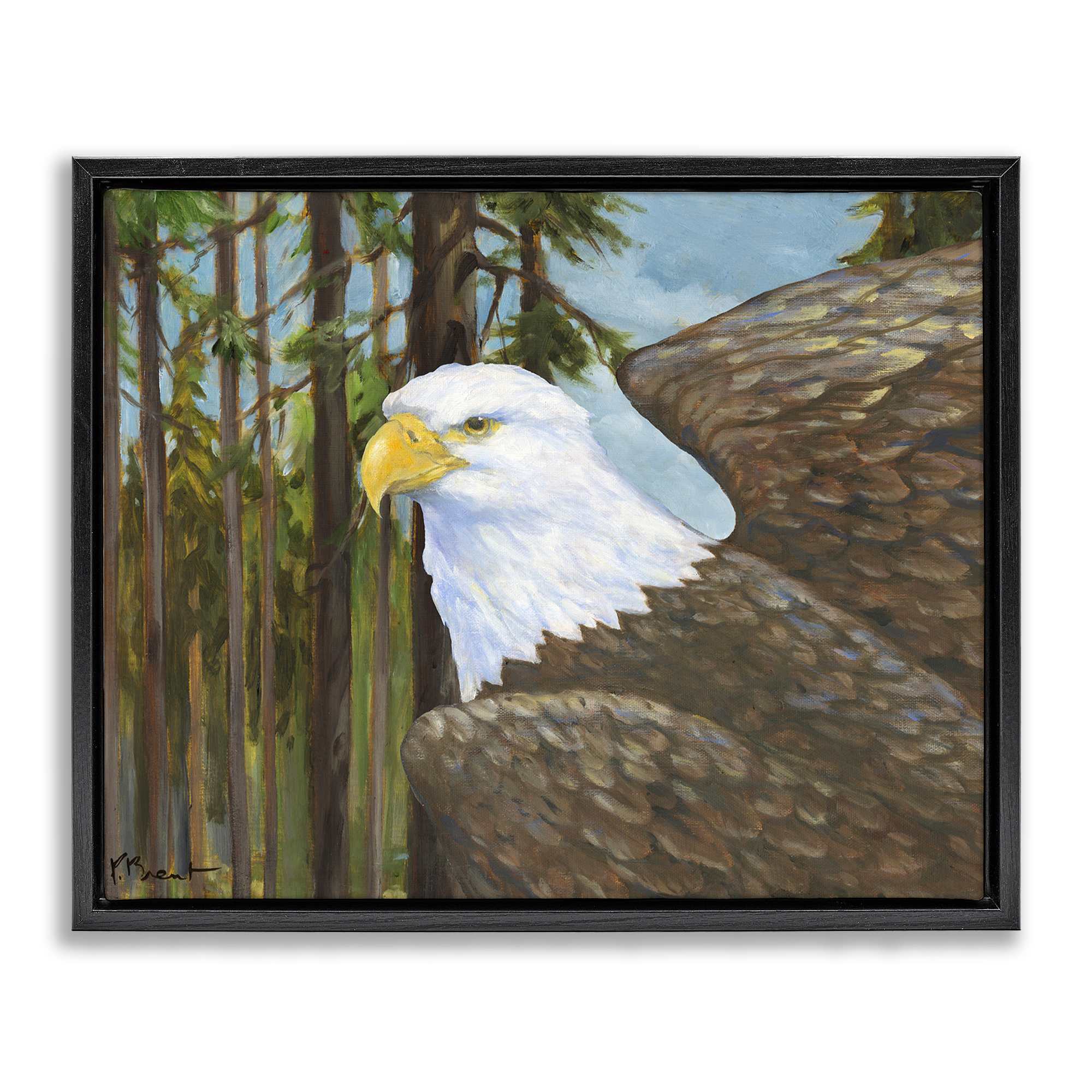 Stupell Industries BT-797-FFB-24X30 Woodland Eagle's View Black Framed Floater Canvas Wall Art By Paul Brent 31 x 25
