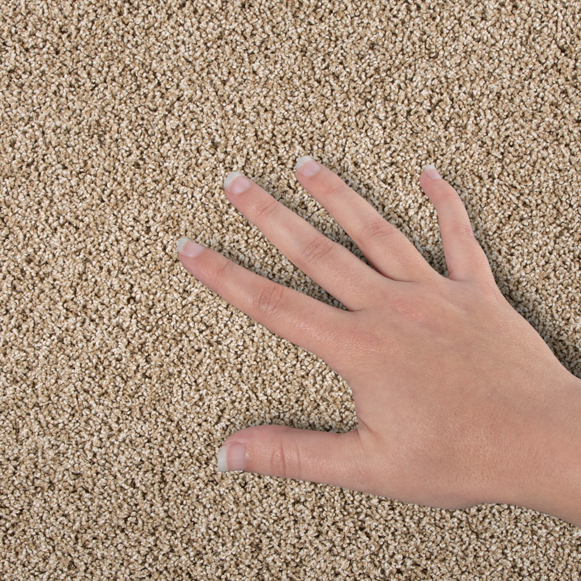 STAINMASTER SS053-L012-S0808 Carpet-Samples - View #4