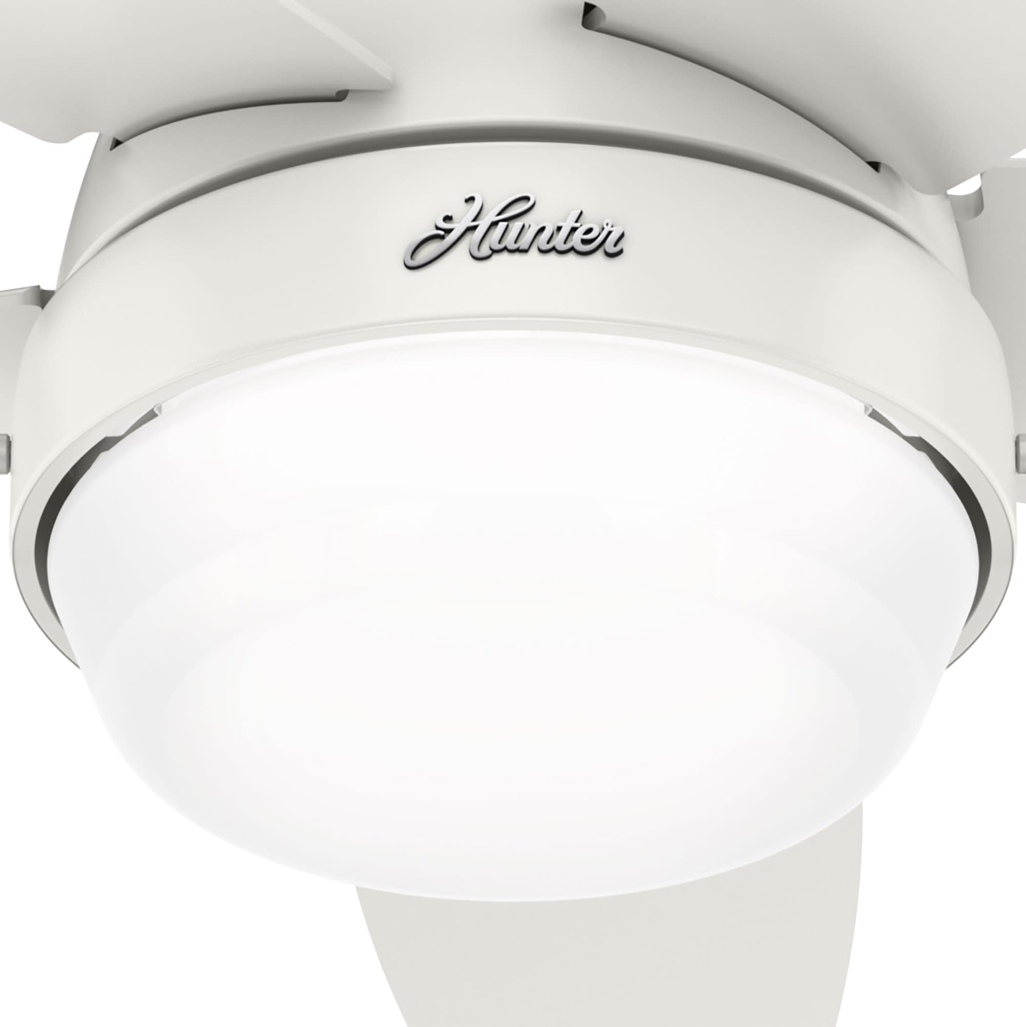 Hunter 51224 Ceiling-Fans - View #10