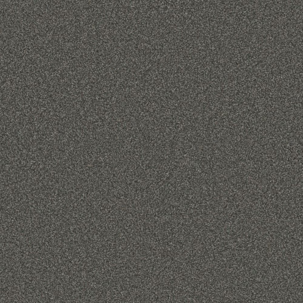 STAINMASTER S8744-969-S (Sample) Ballad Narration Gray 44-oz sq yard Polyester Textured Indoor Carpet