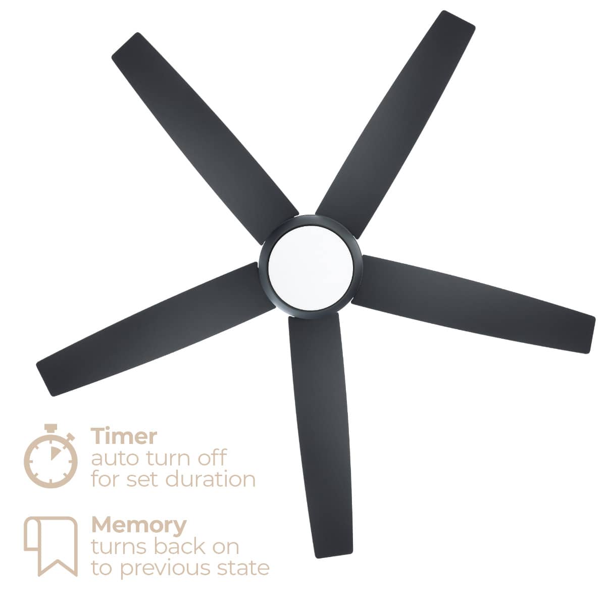 East Grove Home E-FR-102452L-BK Ceiling-Fans - View #8