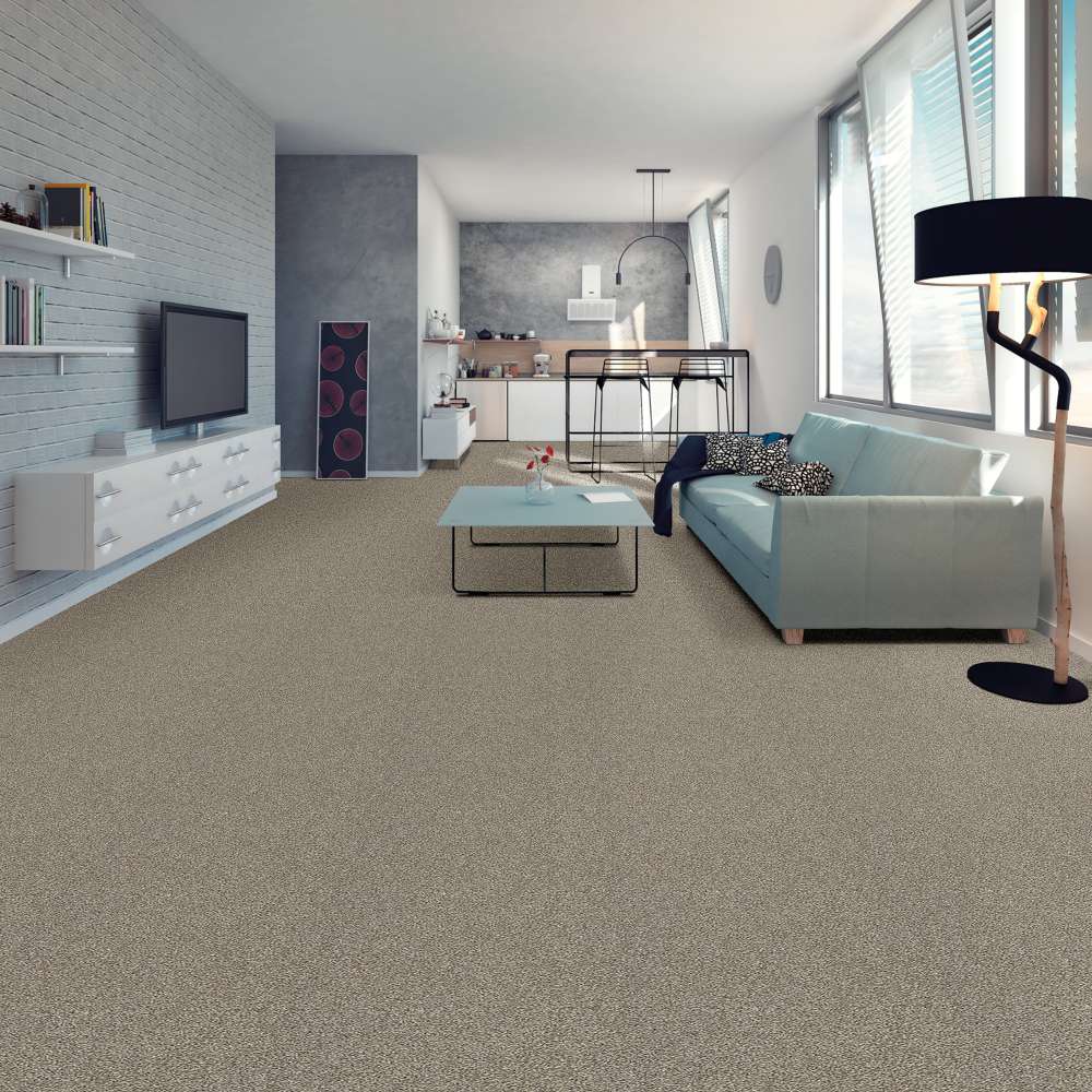 STAINMASTER 7L80100108 Carpet-Panel - View #4