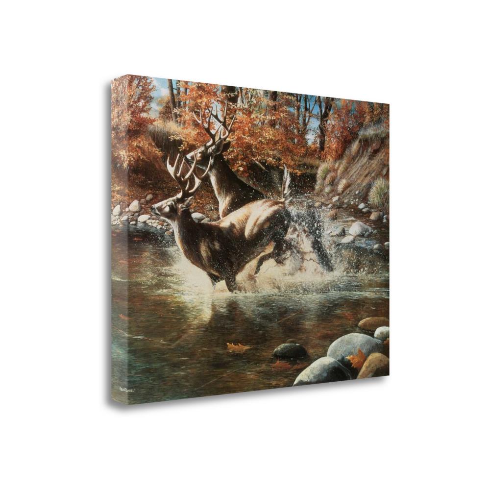 Tangletown Fine Art SBKD1115-2016C 16-in H x 20-in W Animals Print on Canvas