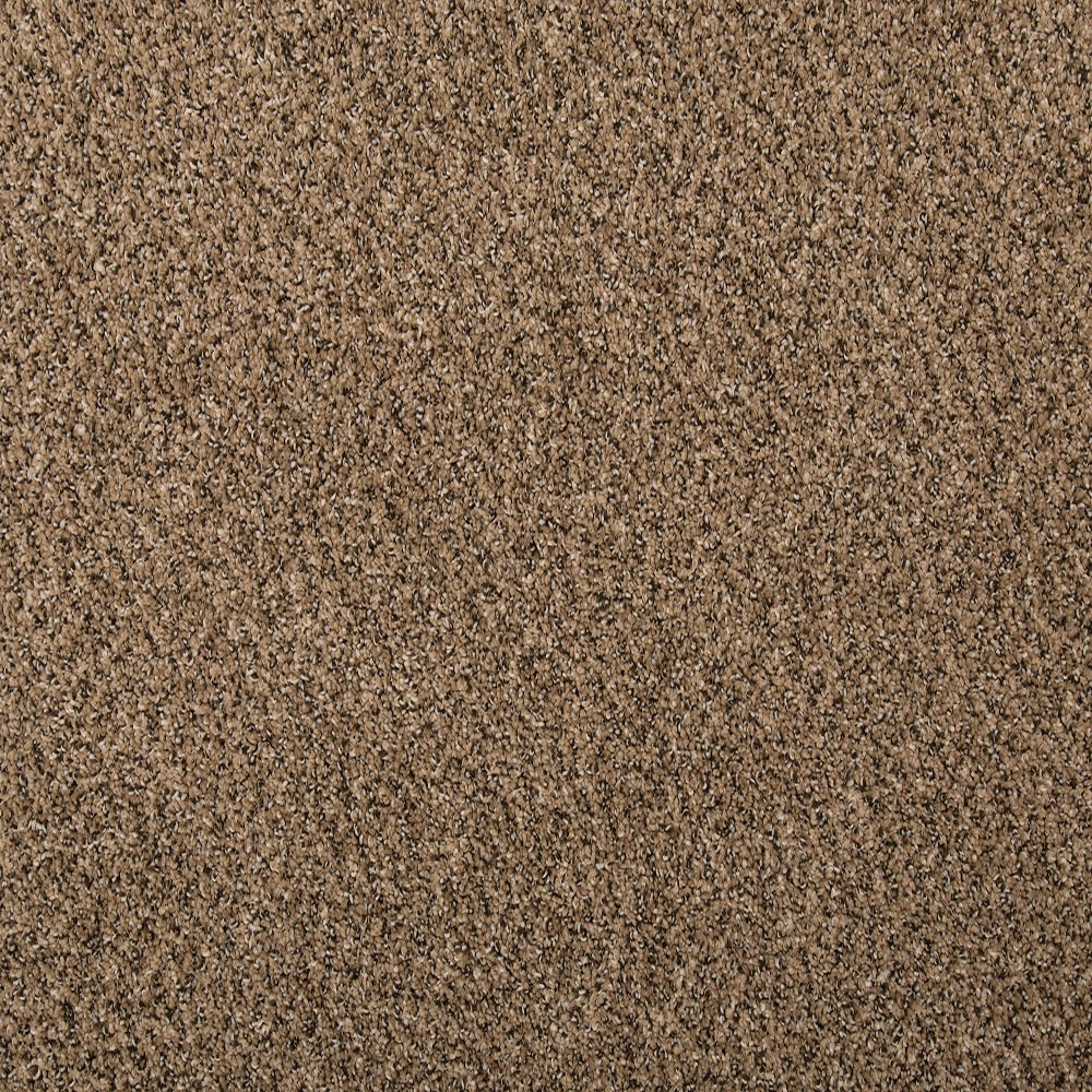STAINMASTER SS033-L005-0808 (Sample) Calming Caress I Grace Brown 35-oz sq yard Solution-dyed polyester Textured Indoor Carpet