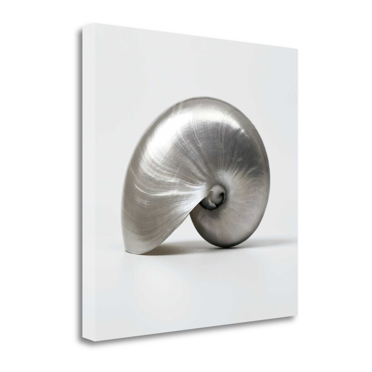 HomeRoots 4000423910 Wall Art Assaf Frank 19-Inches H x 19-Inches W Coastal Canvas Limited Edition Print