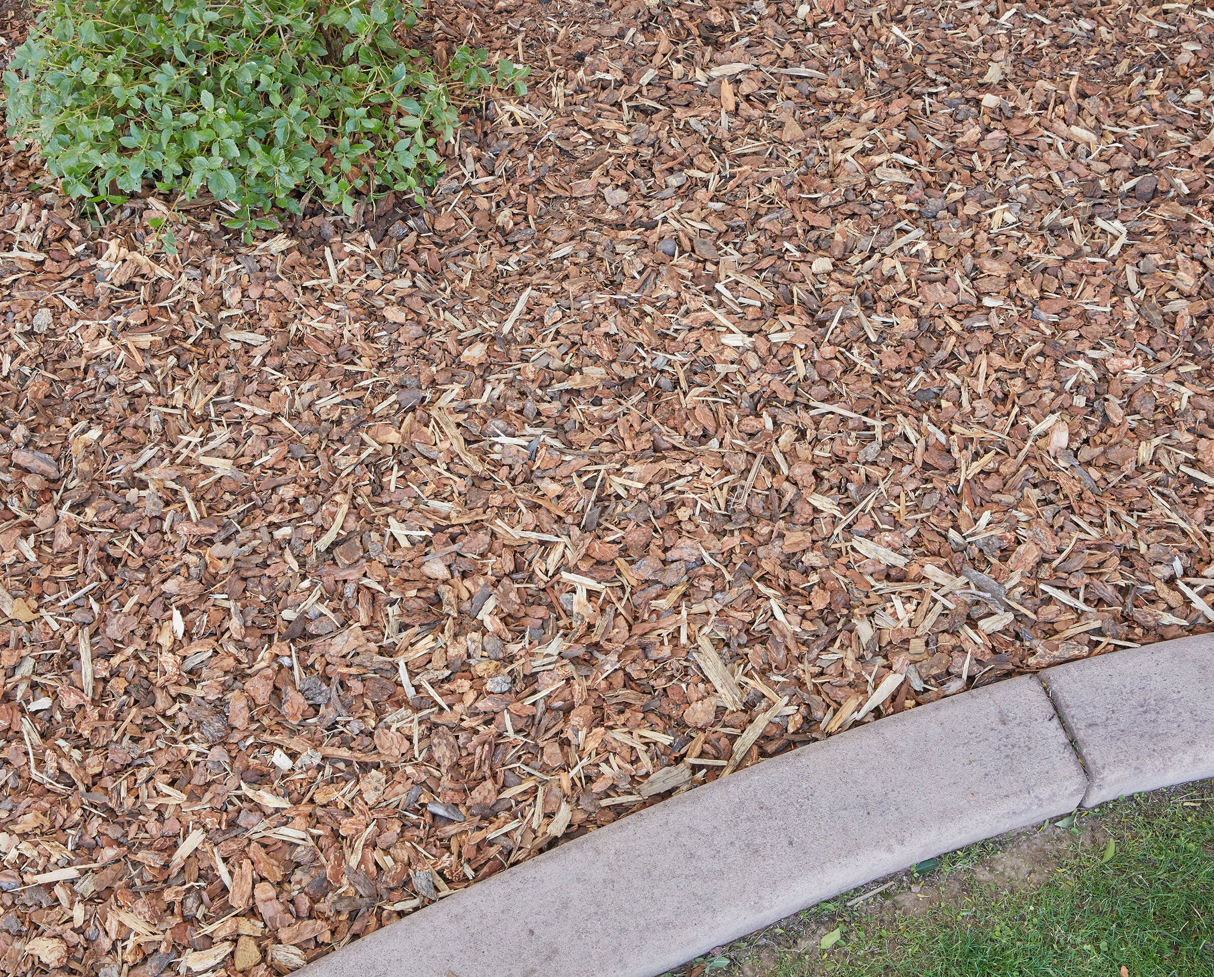 Wallace Farm WFPBN2 Bagged-Mulch - View #5