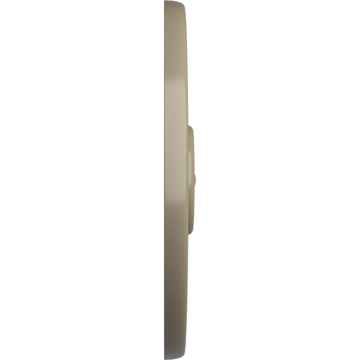 Ekena Millwork CM54TCLGDF Ceiling-Medallions - View #3