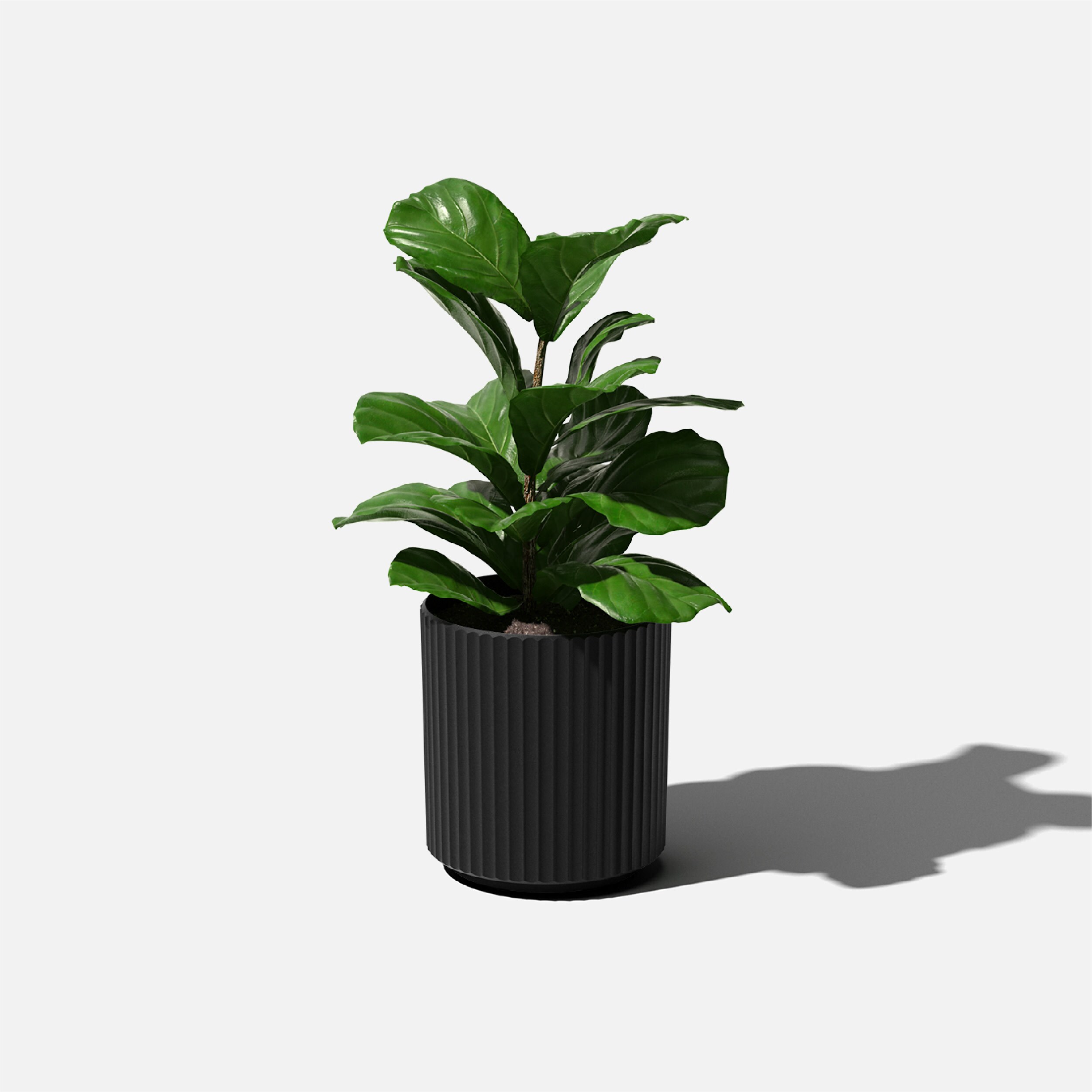 Veradek DMV12B Planter-Window-Box - View #7