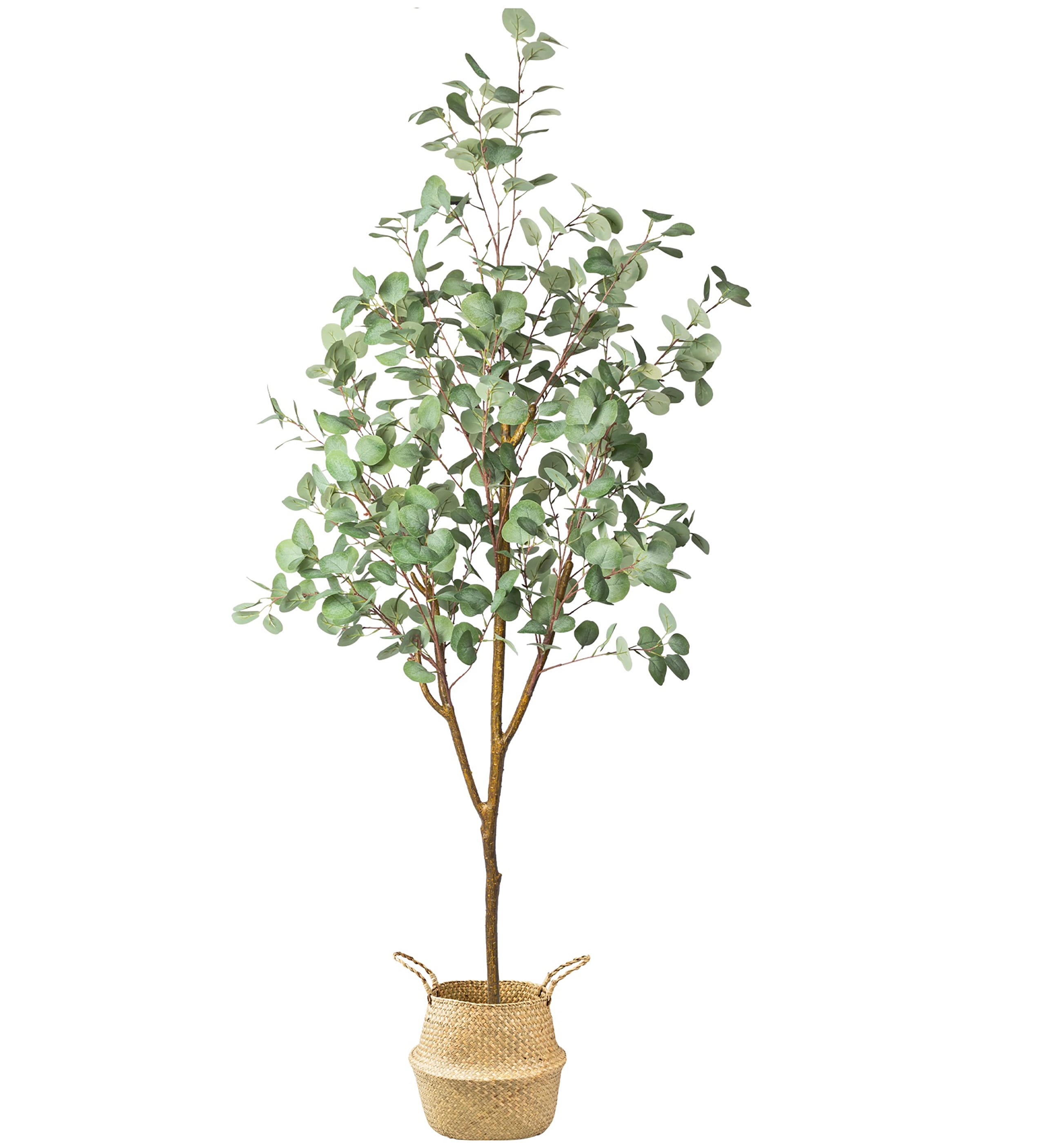 HomLux A37-TAT 70-Inches Green Indoor/Outdoor Floor Eucalyptus Artificial tree