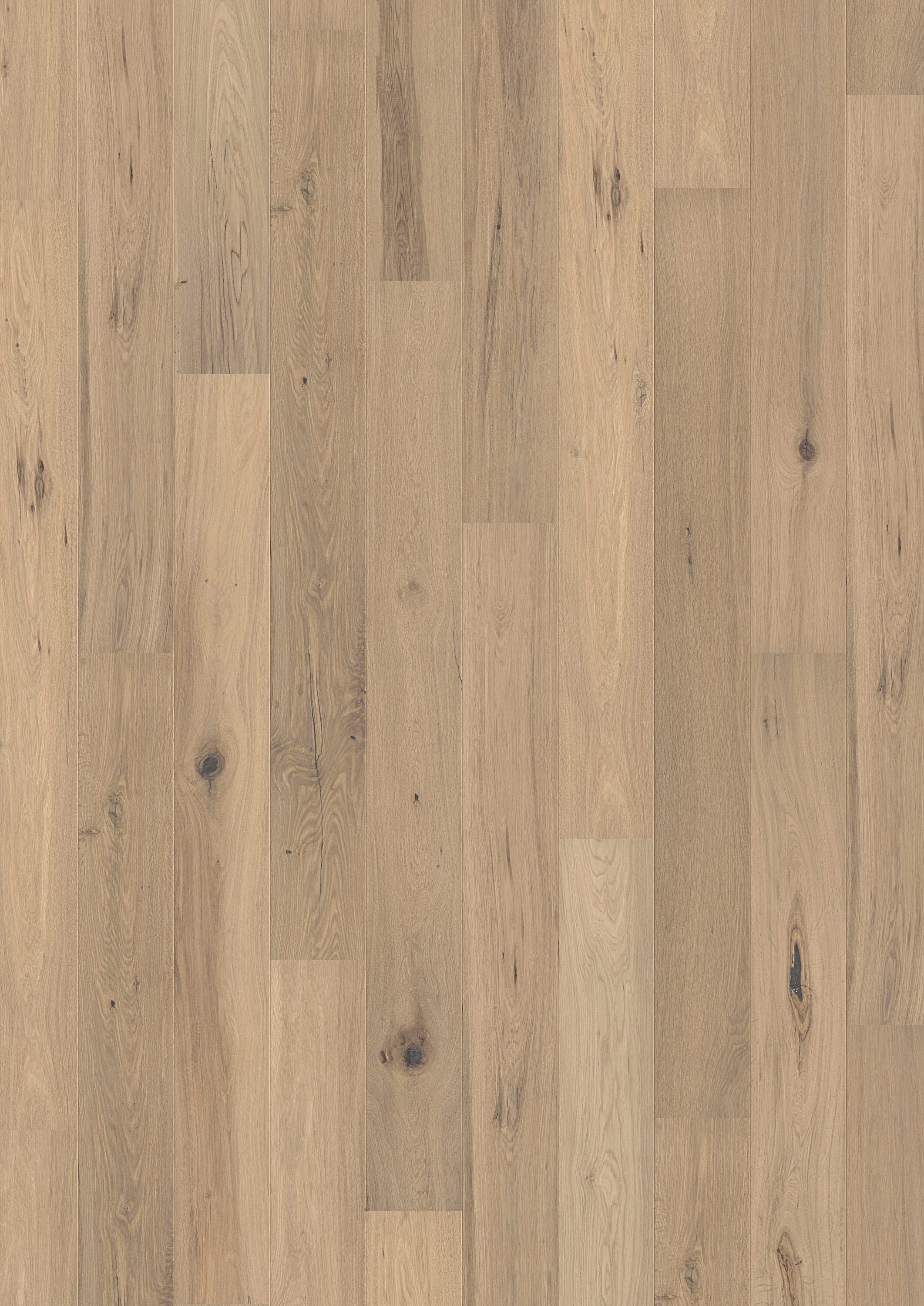 Solidfloor Originals Alaska Oak 5/8-in T x 7-1/2-in W Handscraped Engineered Hardwood Flooring ( 23.306-sq ft / Carton )