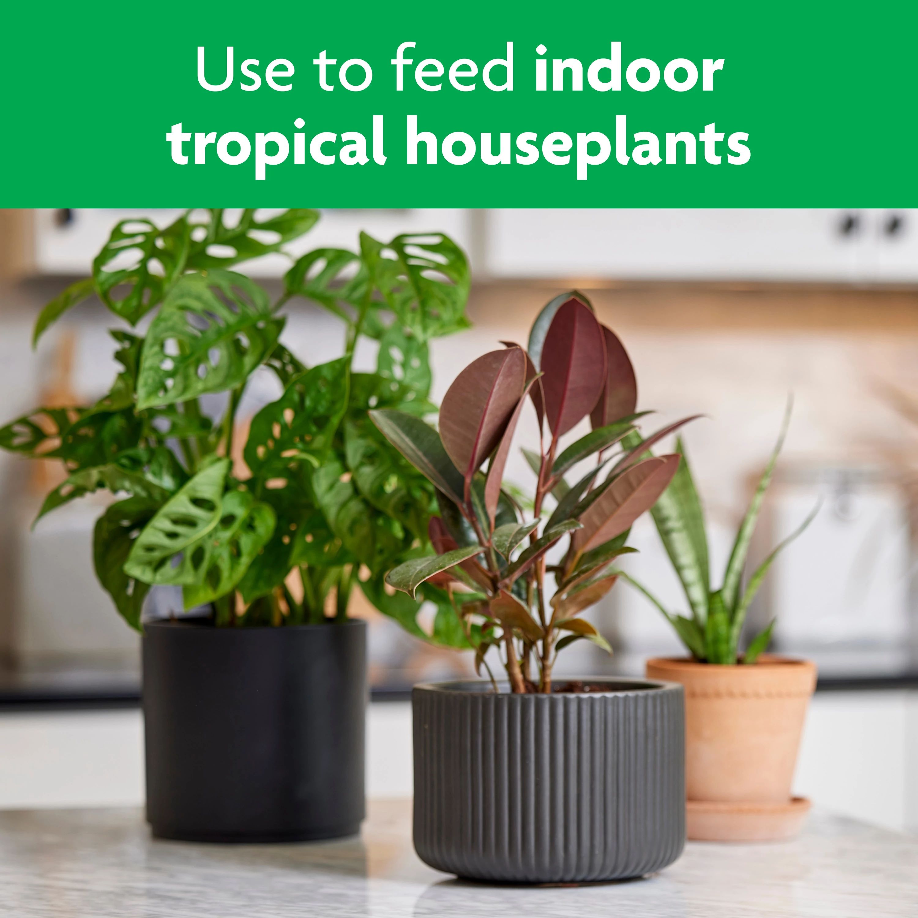 Miracle-Gro 4005906 Plant-Food - View #5