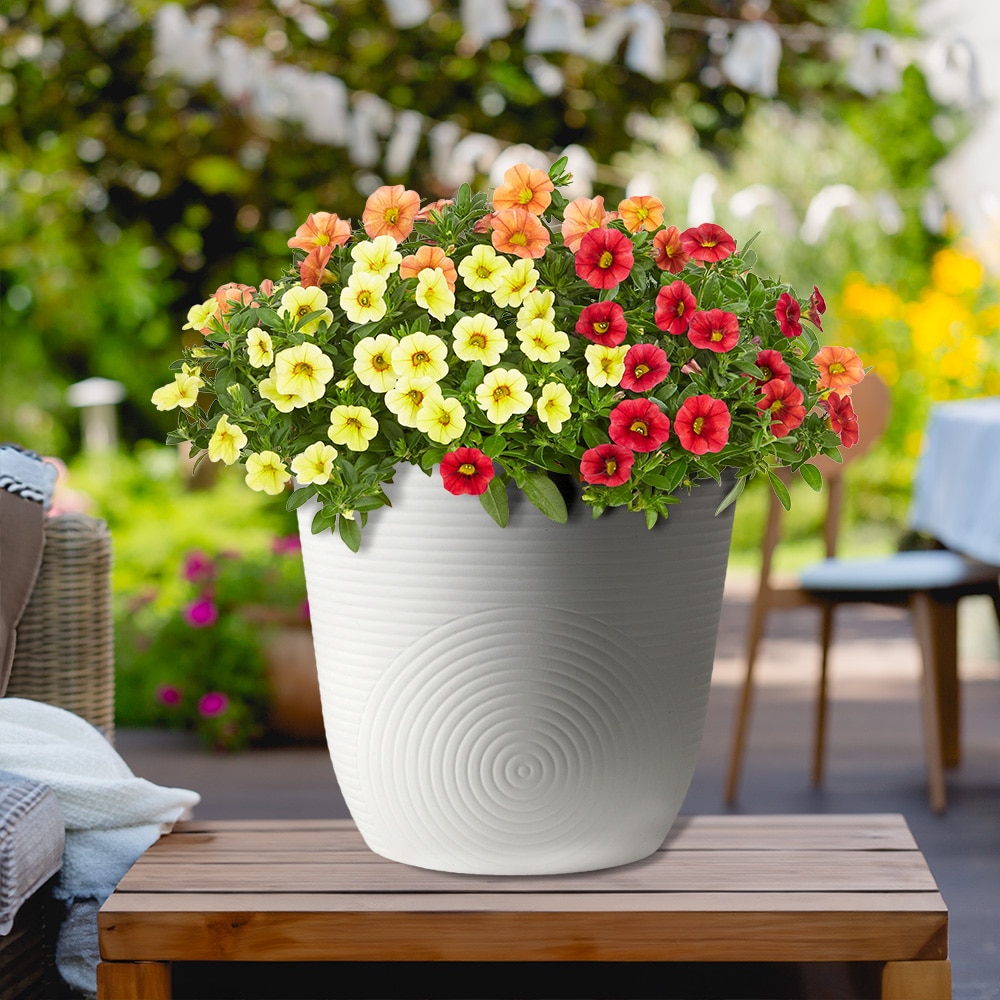 Style Selections RT1959H-IVORY Planter-Window-Box - View #2