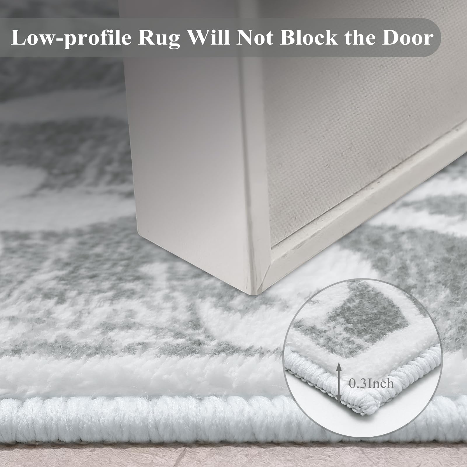 Lahome RR-DYR-012-LGR3 rugs - View #6