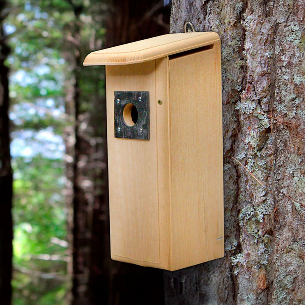 Coveside Conservation COV-10040 15.375-Inches H Natural Wood Chickadees Bird house accessories Predator Proof Bird House