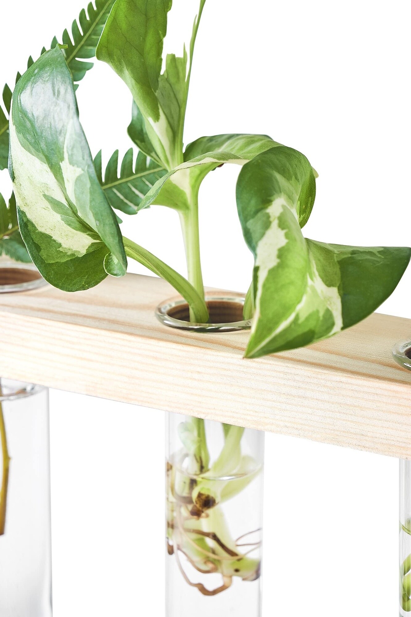 Justincity LJT0520J031 Planter-Window-Box - View #4