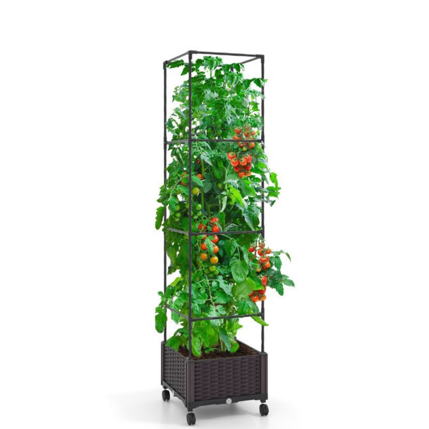 AHIOU HOME ZAAHD-HQRANWGT Newark 16-in W x 67-in H Black Steel Garden Trellis For Climbing Plants For Cucumbers For Roses For Tomatoes
