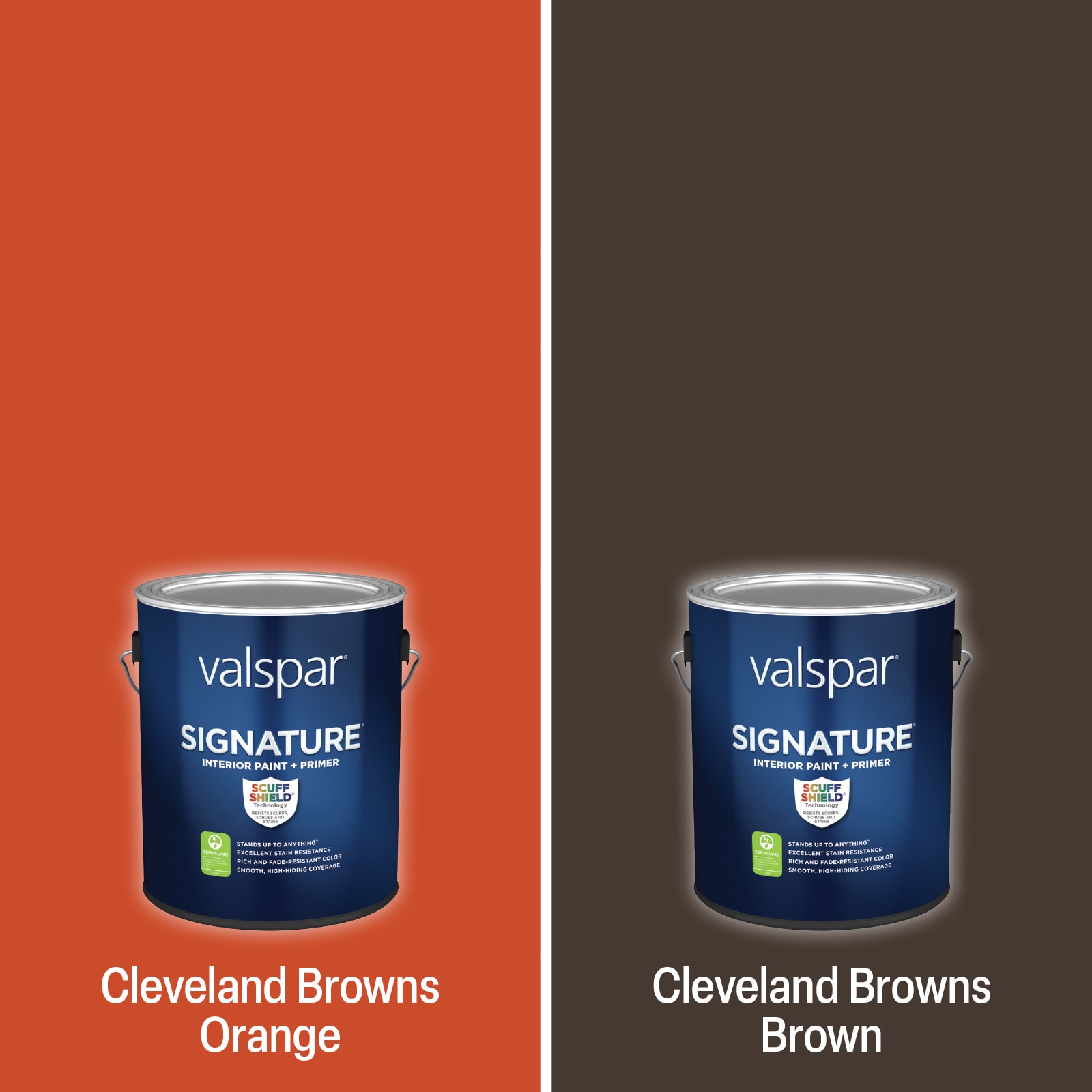 Shop Valspar Cleveland Brown Paint Project Kit at