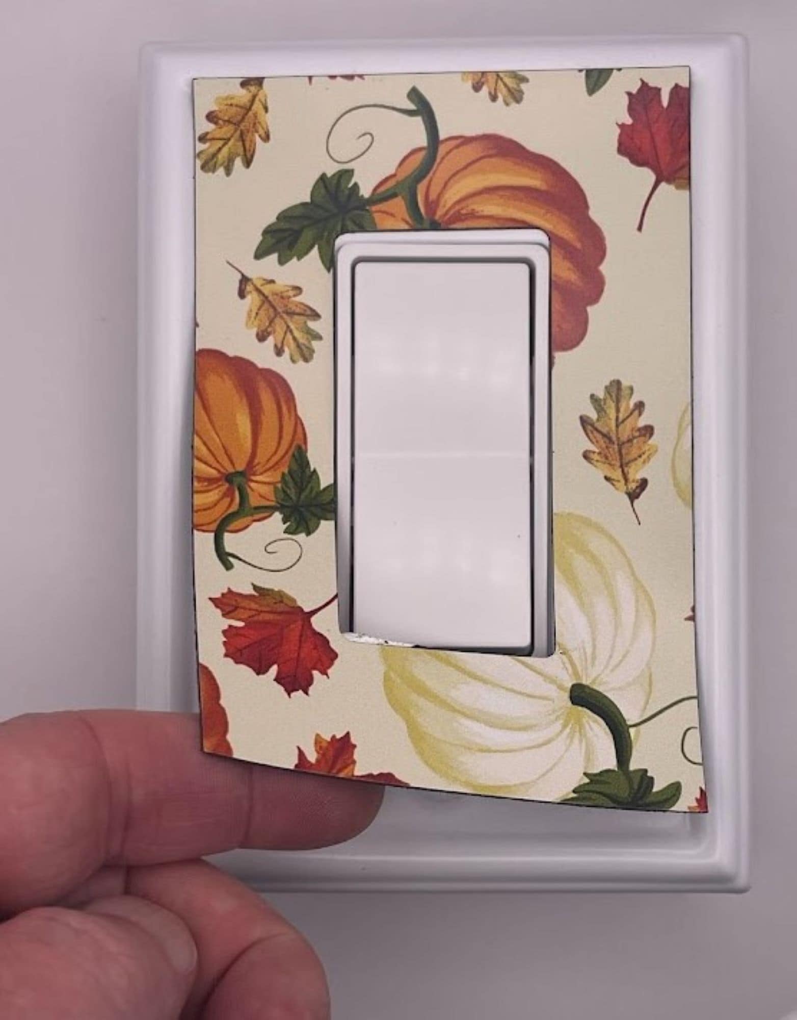 Switch Ups 10201 Electrical-Wall-Plates - View #14