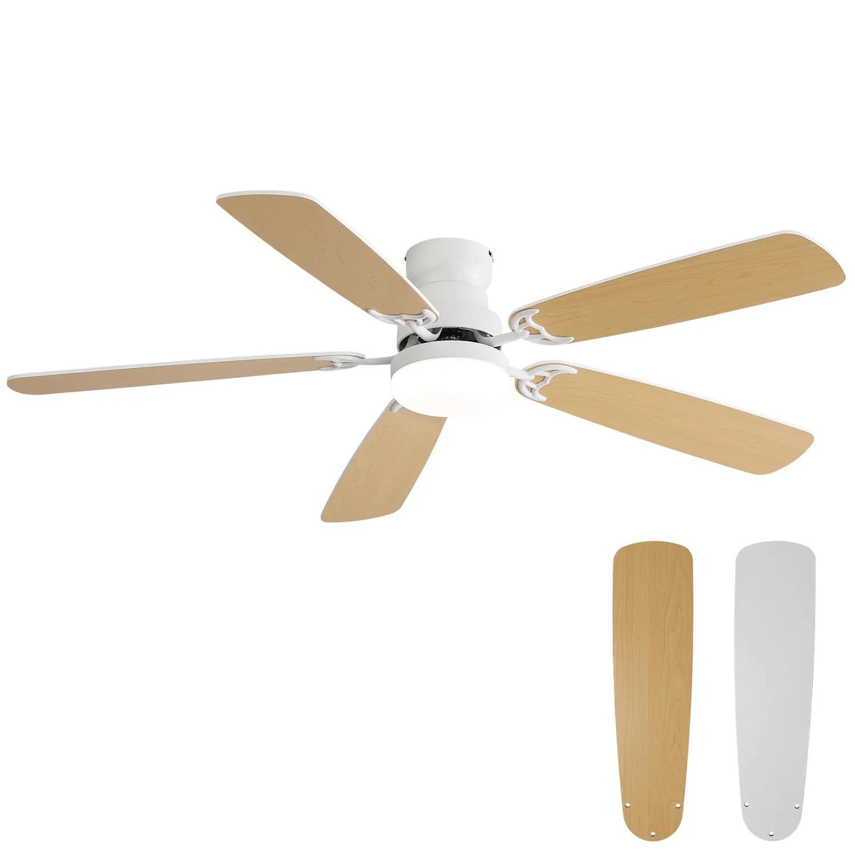 Bayfeve BFKS-46291-CF Ceiling-Fans - View #4
