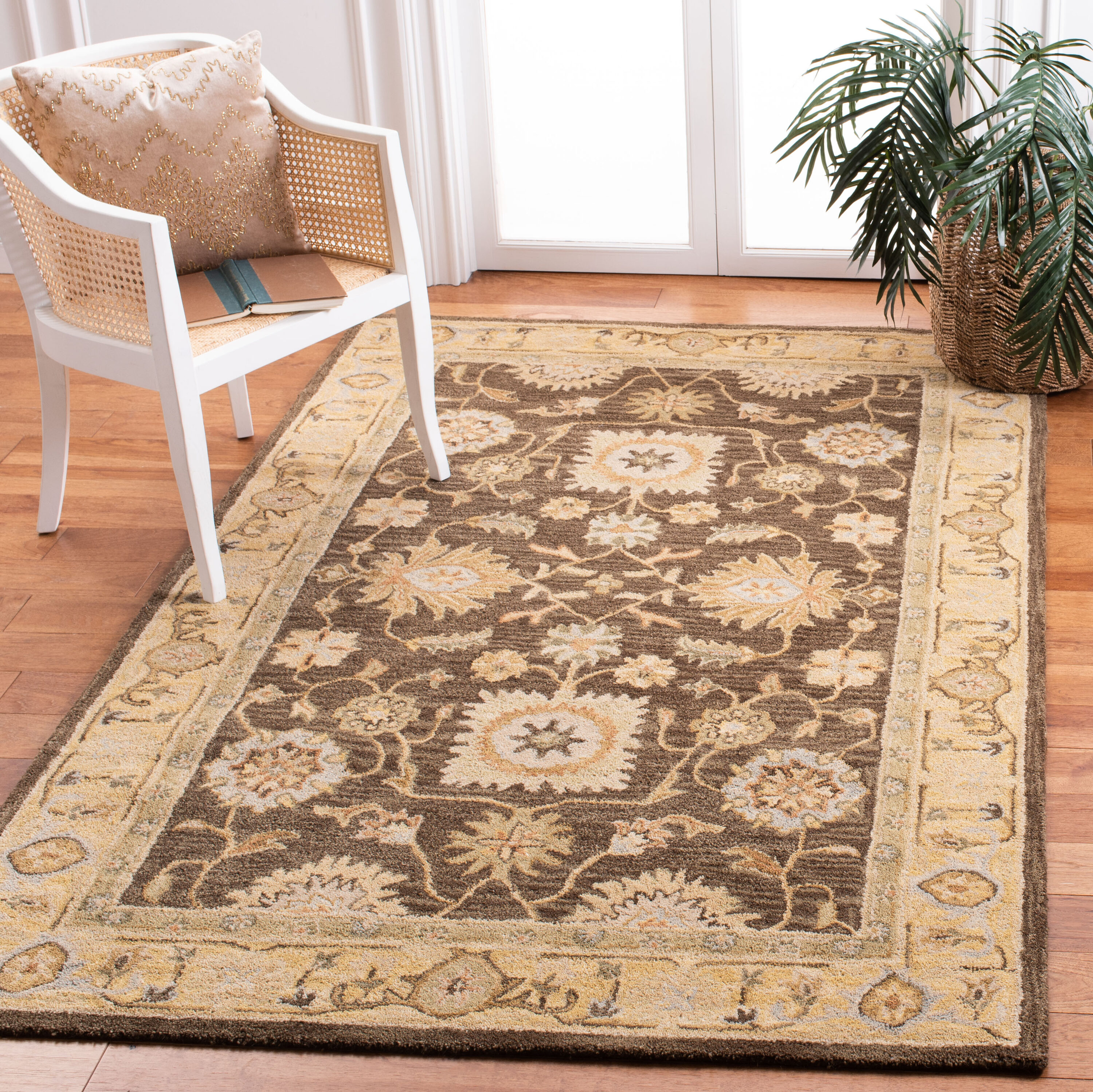 Safavieh AN556C-6 rugs - View #5