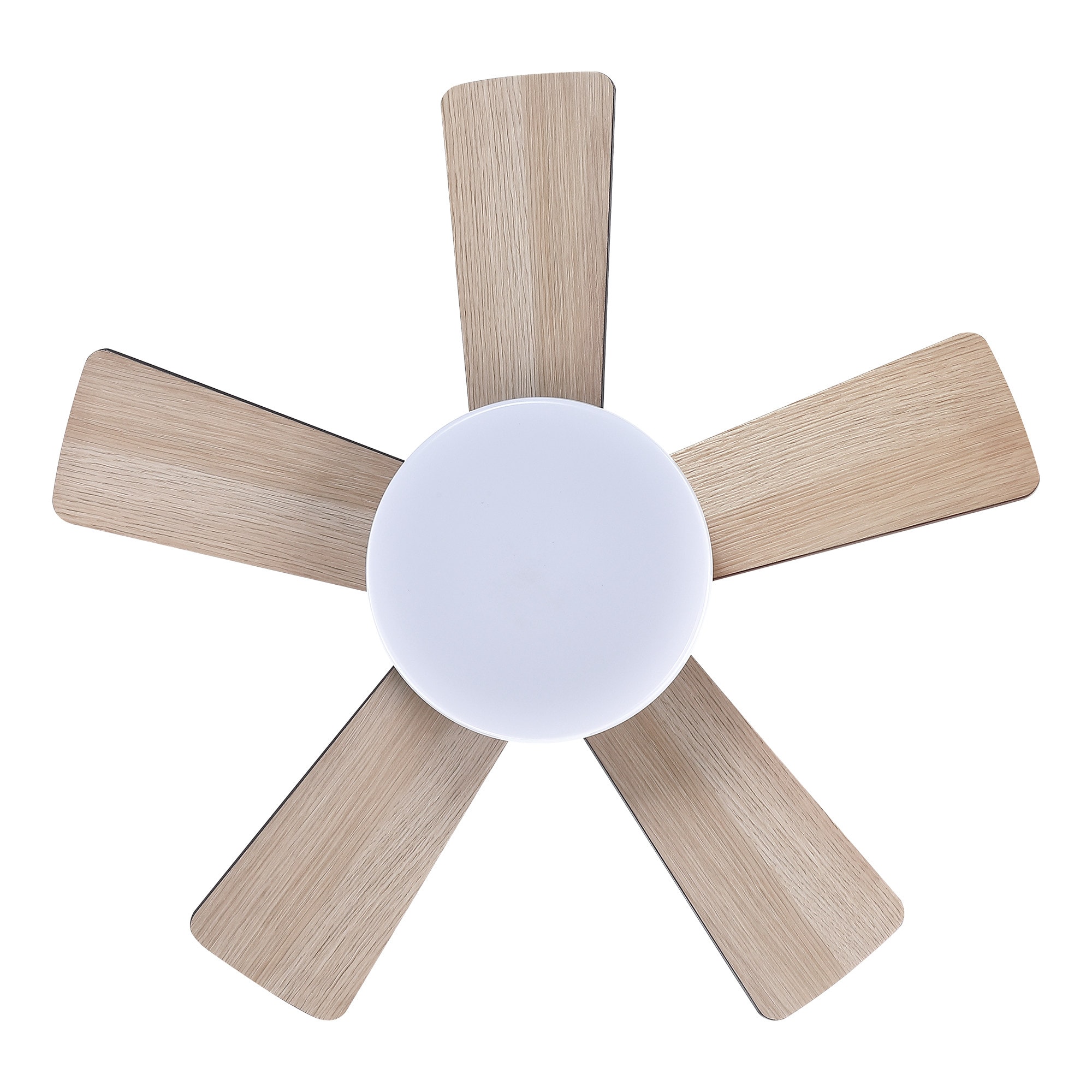 Parrot Uncle F8283110V Ceiling-Fans - View #11