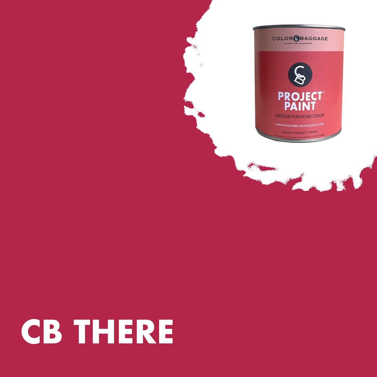 Color Baggage THERE-PIF-SAT-Q Project Paint Indoor Satin There ( 1-quart )