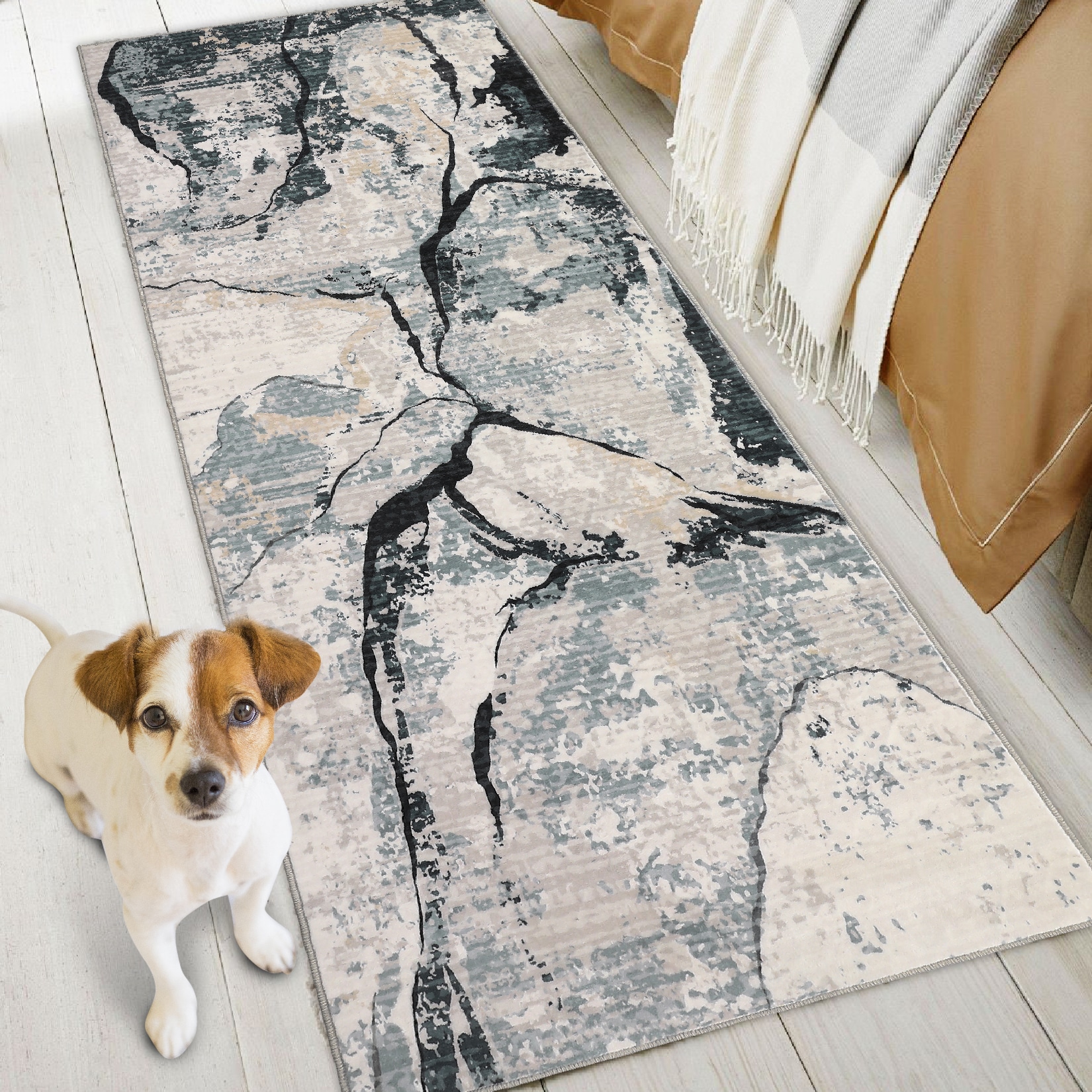 Qeetex LSN-PHO-15DX9ZG7 rugs - View #3
