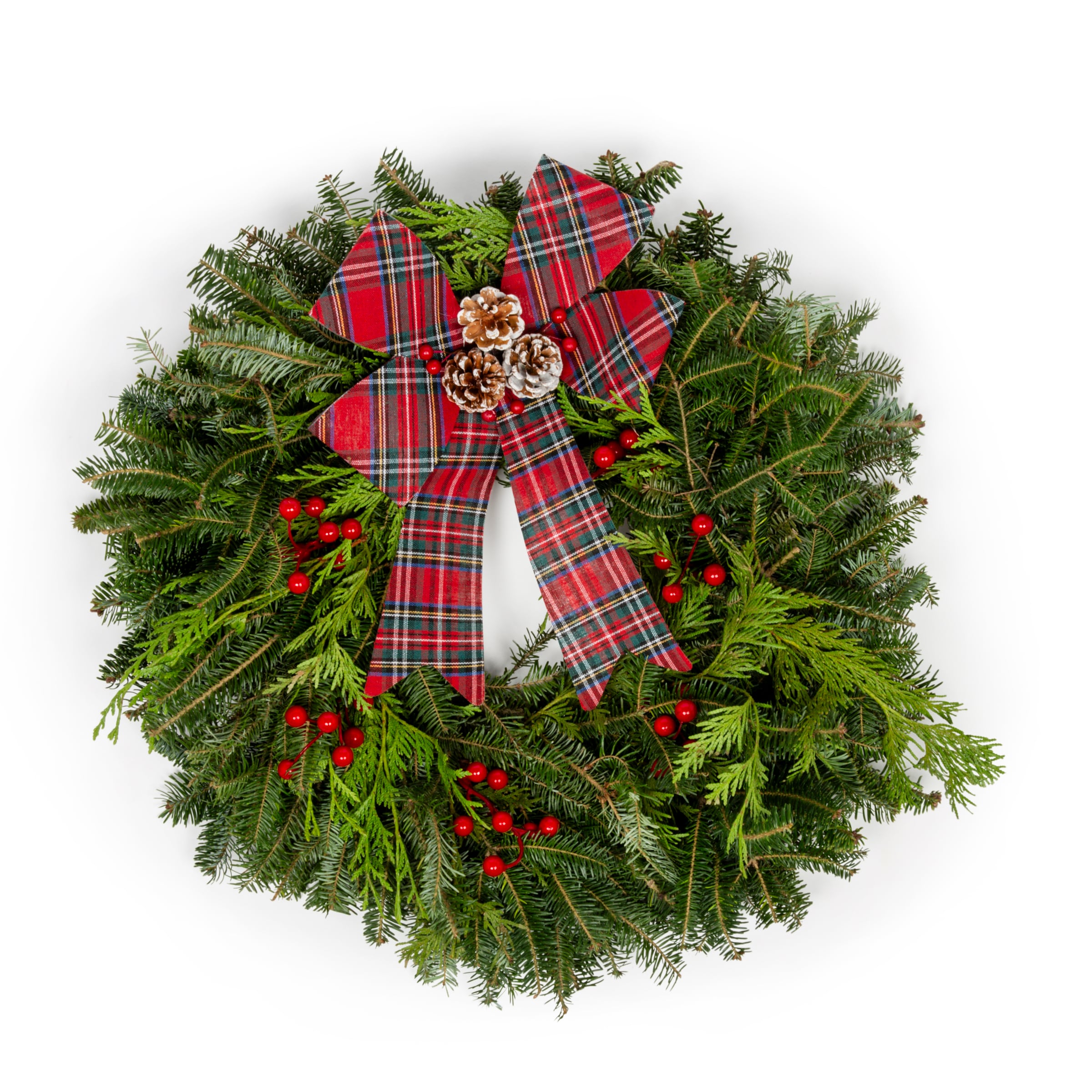 2022white × green christmas wreathe① Metrolina Greenhouses 22-in Real Cedar Christmas Wreath 5337 at