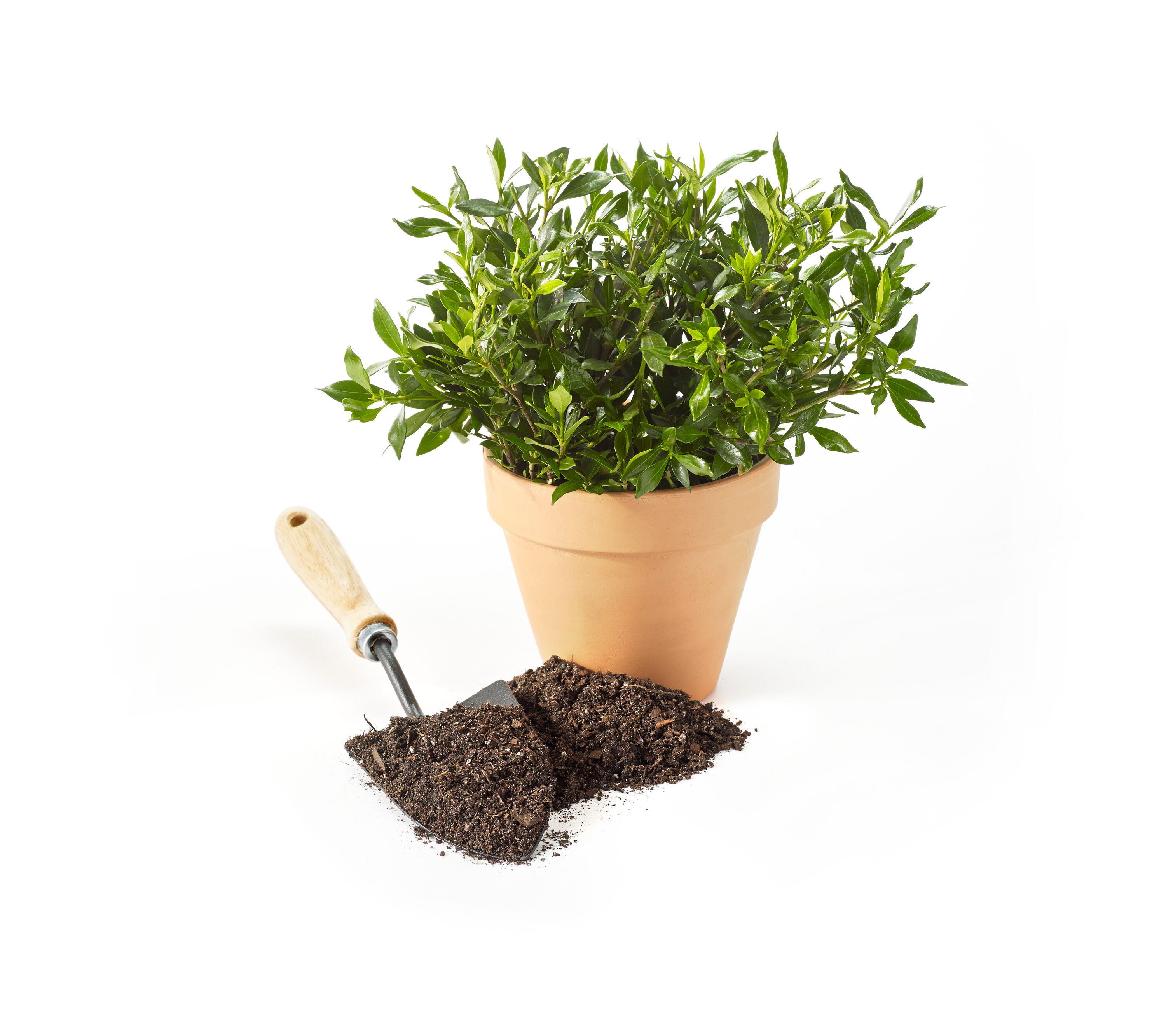 Hapi-Gro 50150185 Garden-Soil-Soil-Amendments - View #4