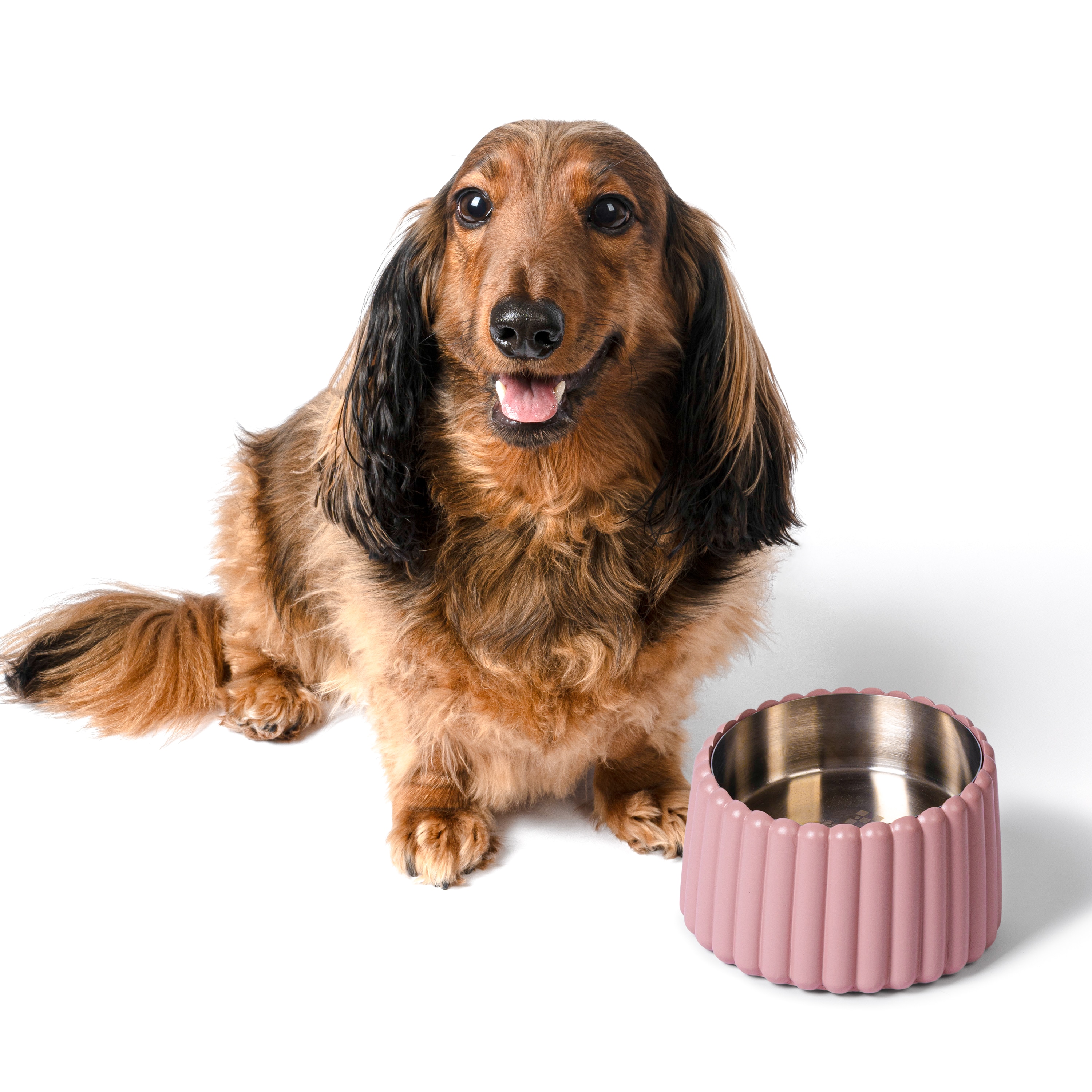 The Licker Store DBL3001A Pet-Bowls - View #5