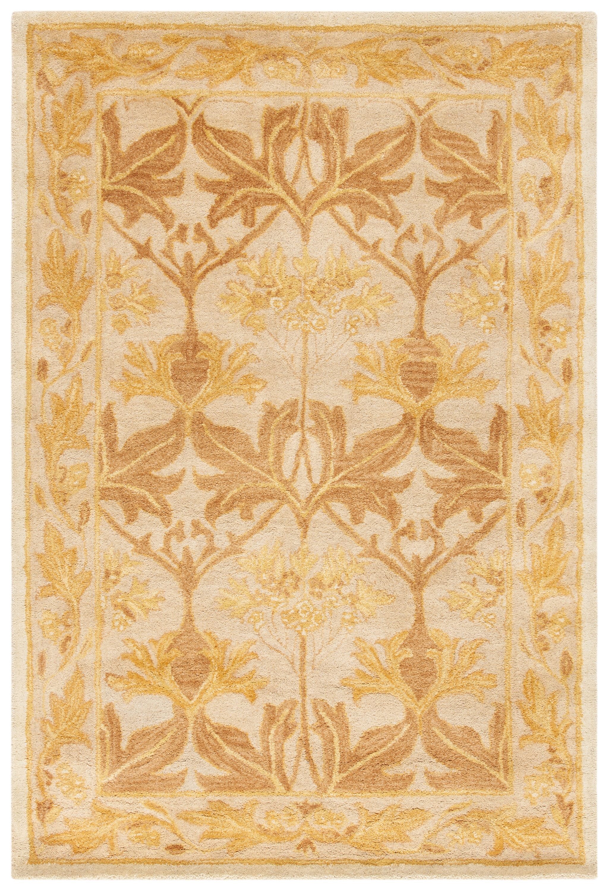 Safavieh AN541B-4 rugs - View #2