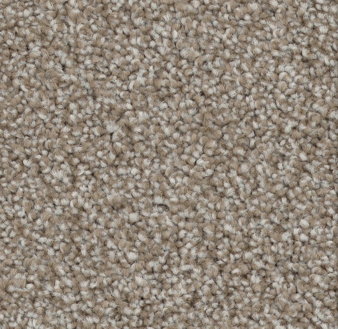 STAINMASTER (Sample) 8-in x 8-in Asher Toasted Oat Brown 39-oz sq yard Solution-dyed polyester Textured Indoor Carpet