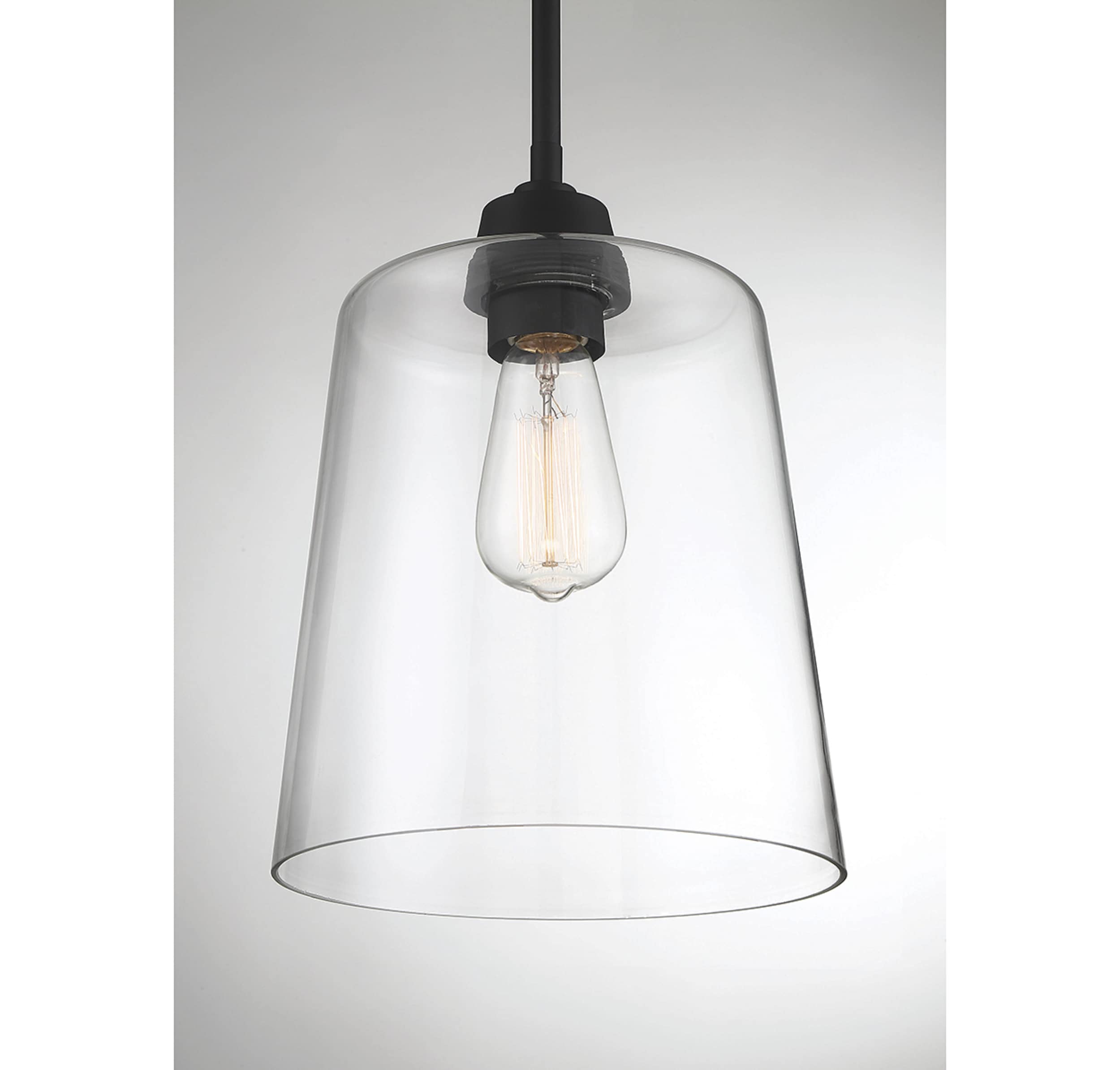 Templeton Matte Black Pendant Light with Clear Glass Shade