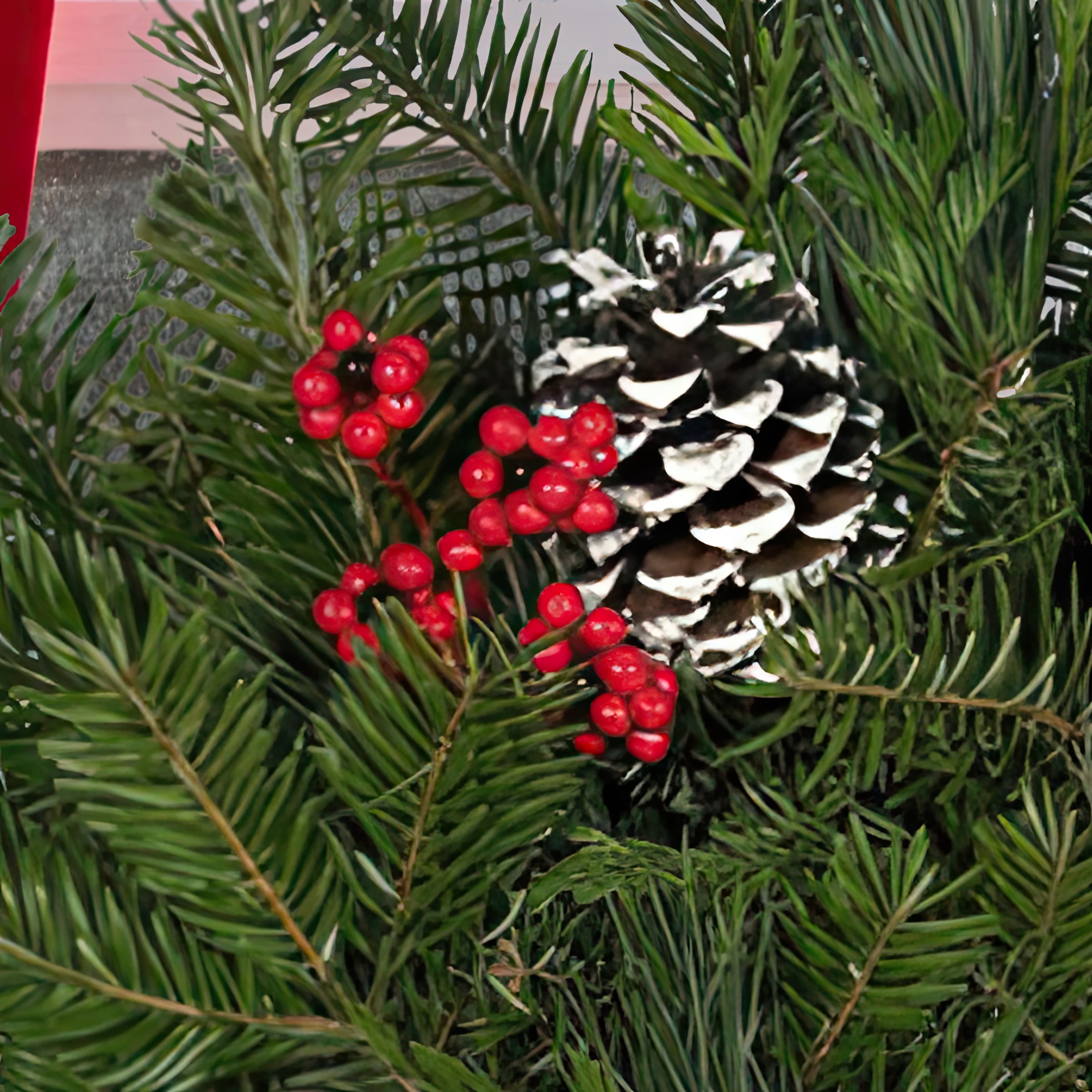 National Plant Network LW1863 Fresh-Cut-Christmas-Decorations - View #6