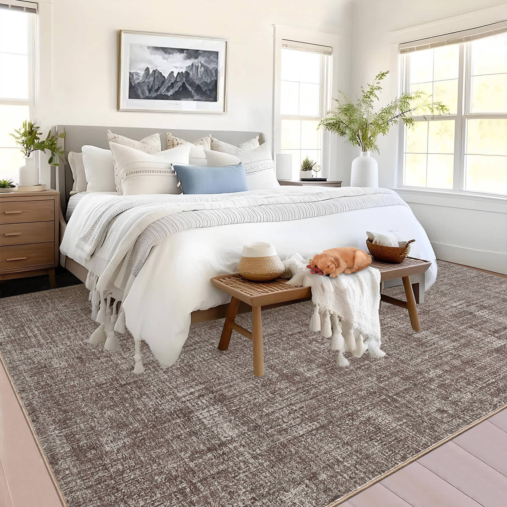 Qeetex SUNNY-PHK-33PDBAGS rugs - View #4
