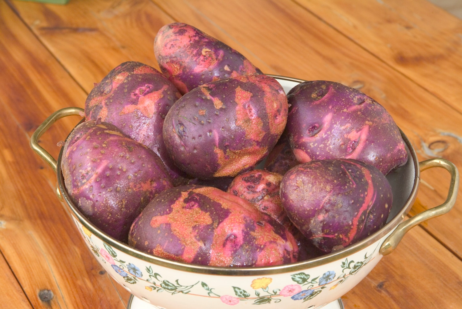 Gurney's Seed and Nursery 74021 Vegetable-Herb-Seeds - View #2