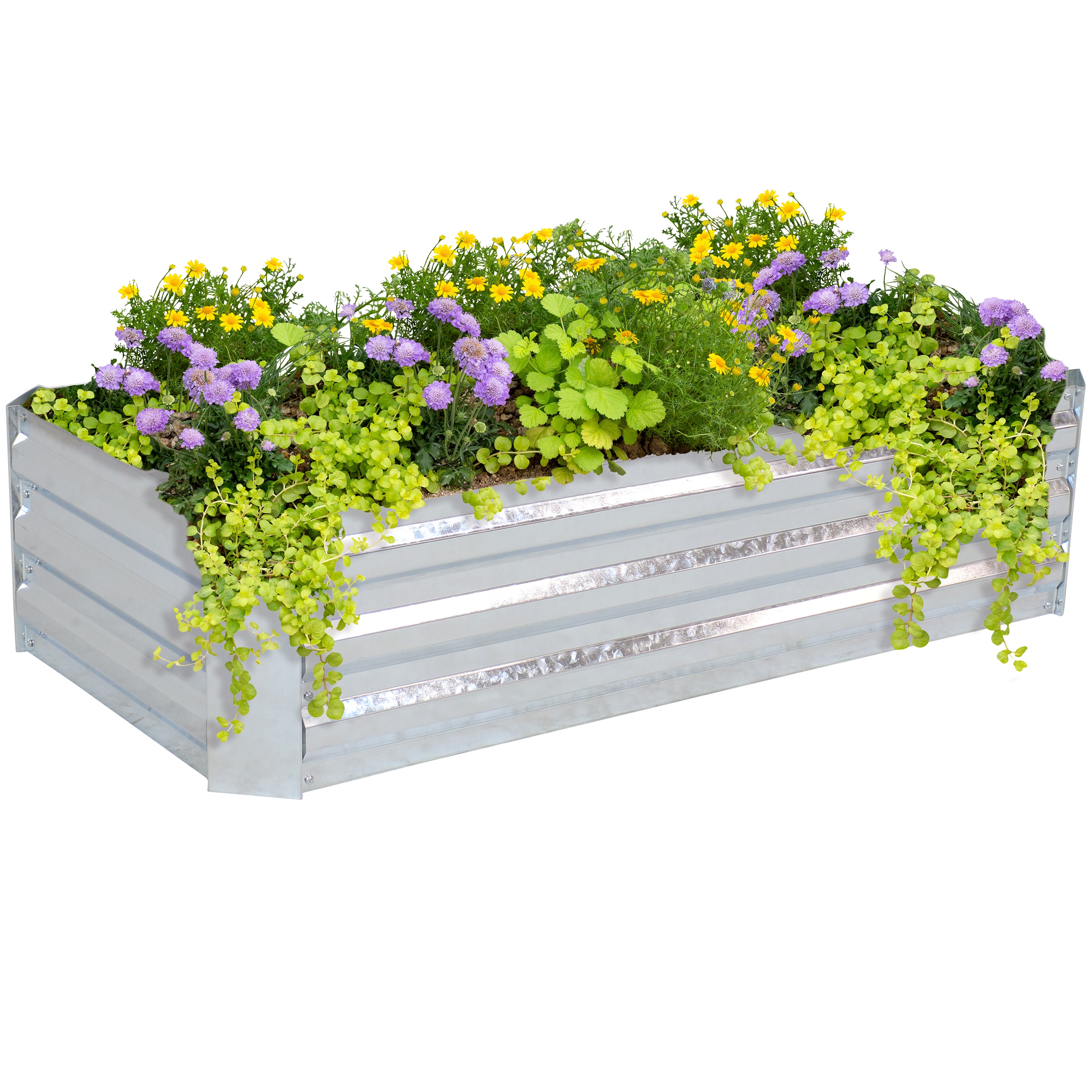 Sunnydaze Decor HB-512 48.0-in W x 24.0-in L x 11.75-in H Elevated Silver Galvanized Metal Raised Garden Bed