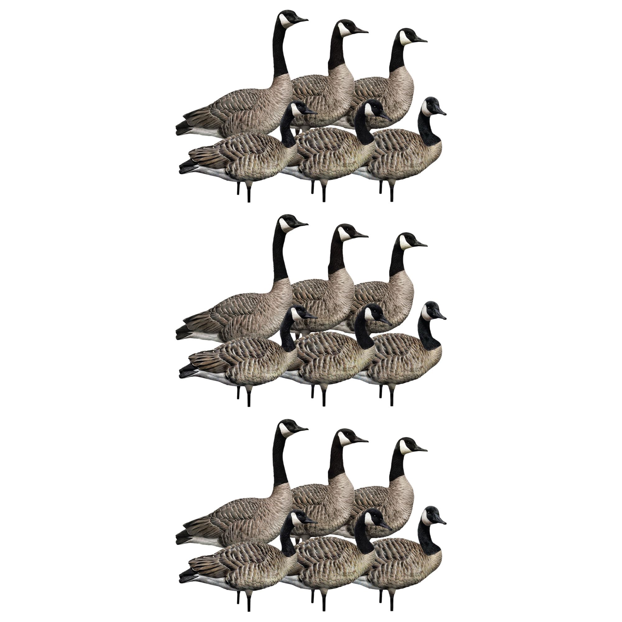  Avian X 408564 28.50 x 18 x 16.50 Inche(s) Decoy 3 -Pack