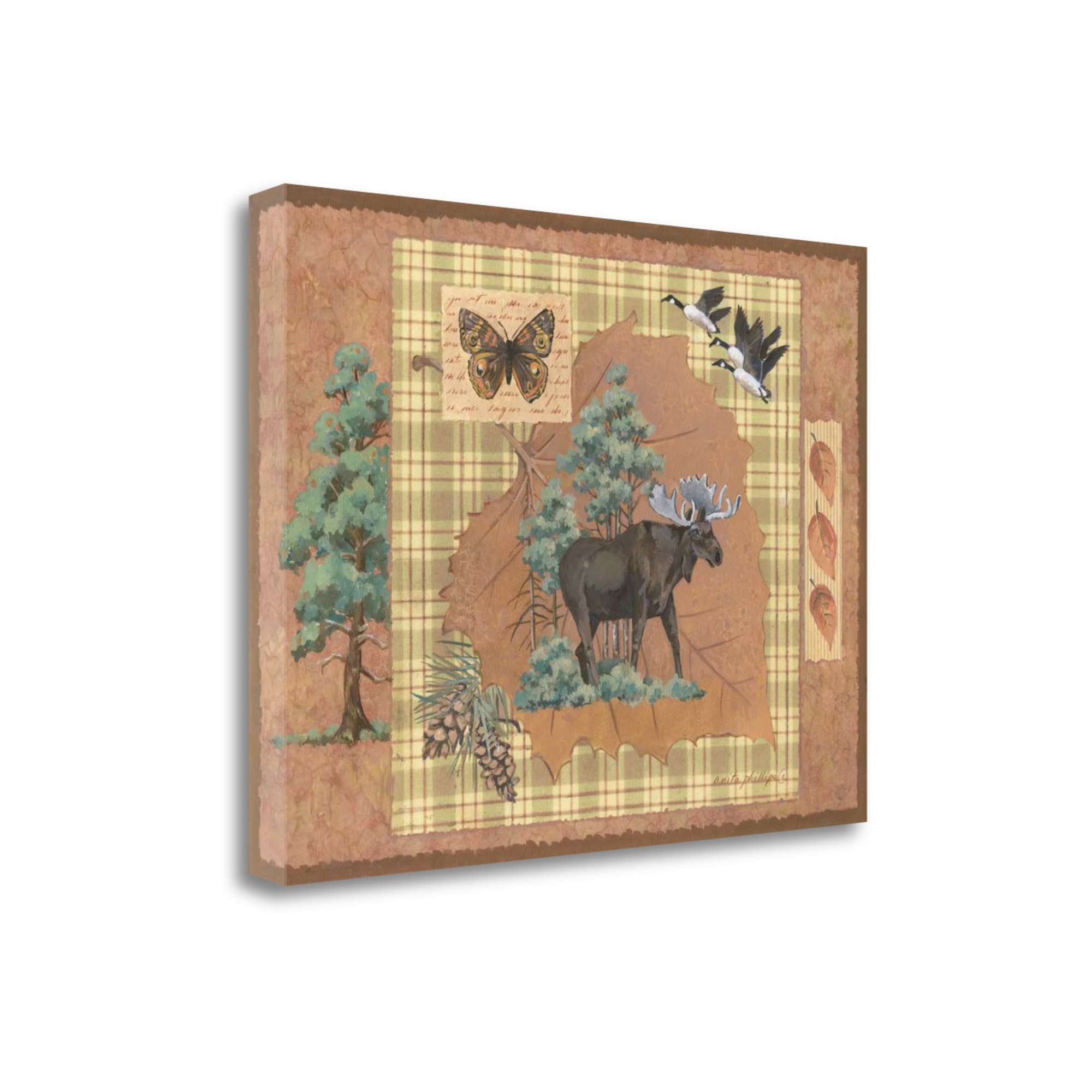 Tangletown Fine Art SBAP070-2317C Moose Leaf Anita Phillips 17-in H x 23-in W Animals Print on Canvas