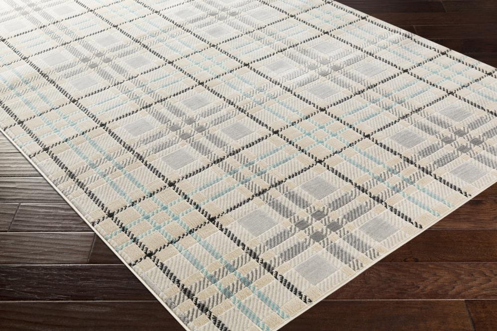 Surya CIT2364-5373 rugs - View #7