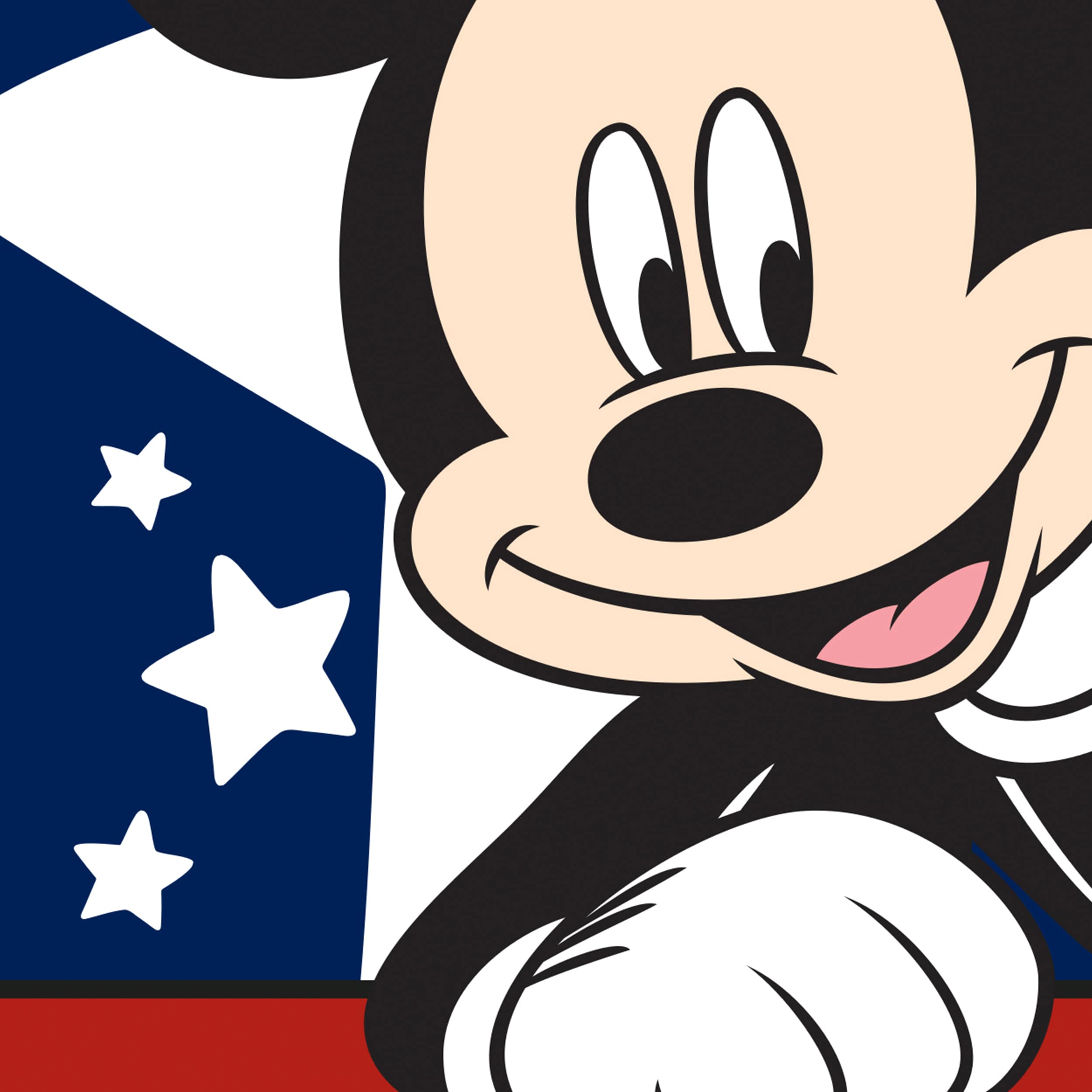 Disney 10-1313-92-01 Decorative-Banner-Flags - View #4