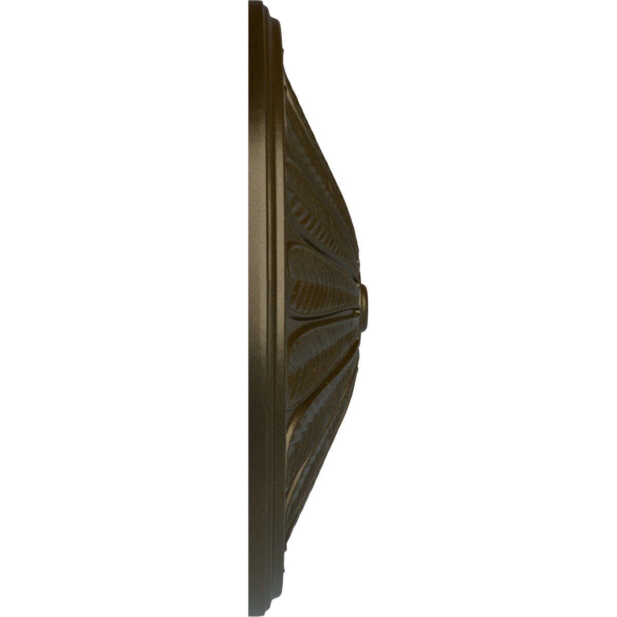 Ekena Millwork CM25BRGGS Ceiling-Medallions - View #3