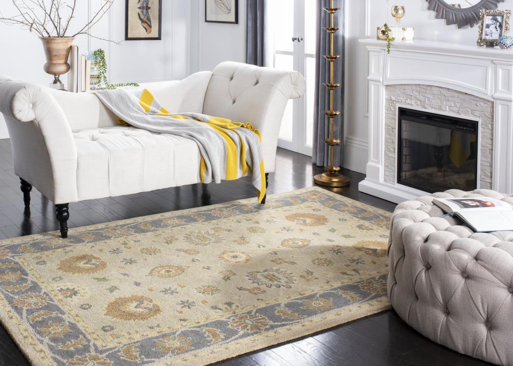 Safavieh AN561A-5 rugs - View #5