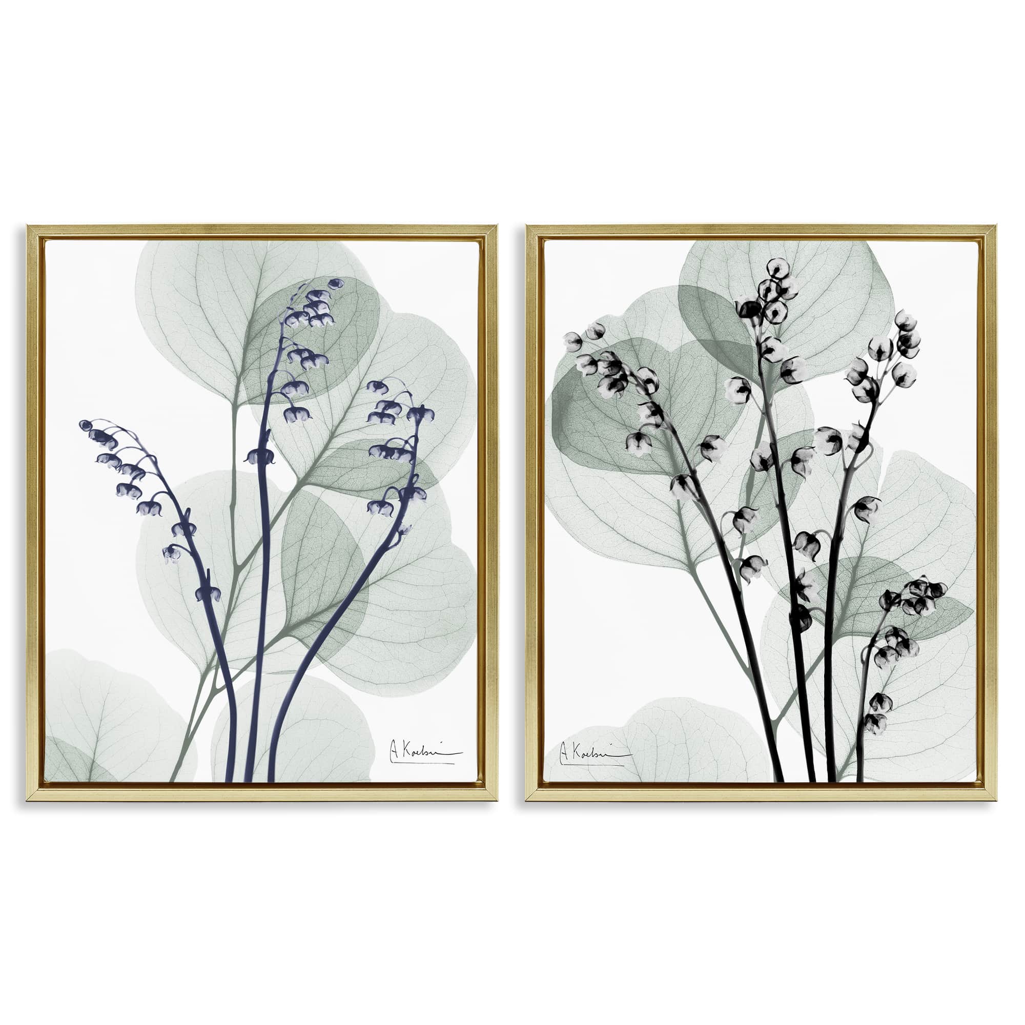 Stupell Industries B2-704-FFG-2PC-24X30 Future Dusk Opaque Herbs 2 Piece Gold Framed Floater Canvas Set By Albert Koetsier 31 x 25